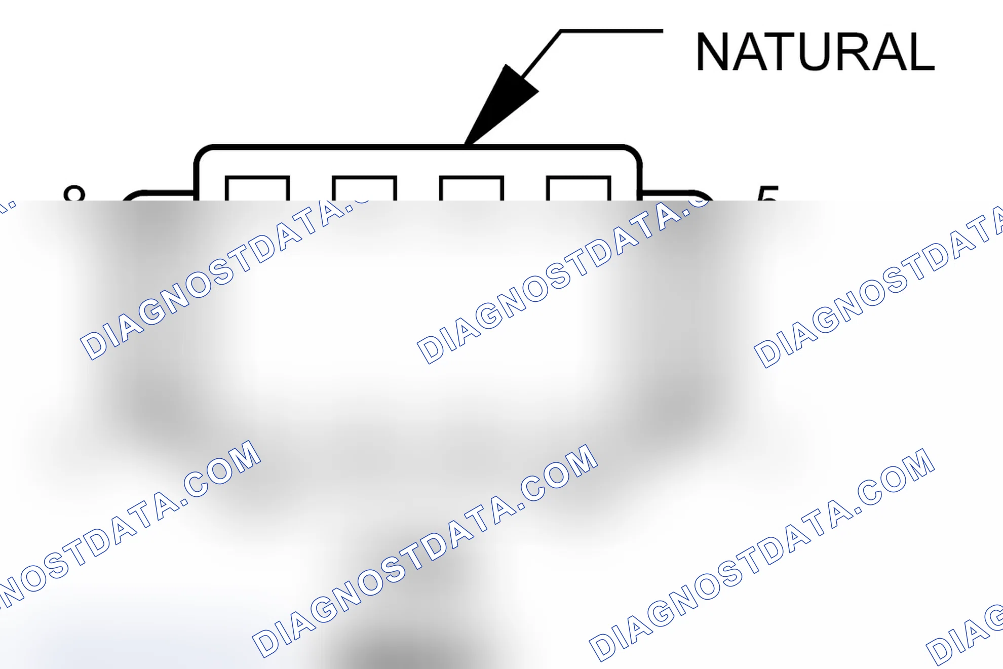 Scheme 92: Inline (Roadster (Convertible)) Connector End View (C300)