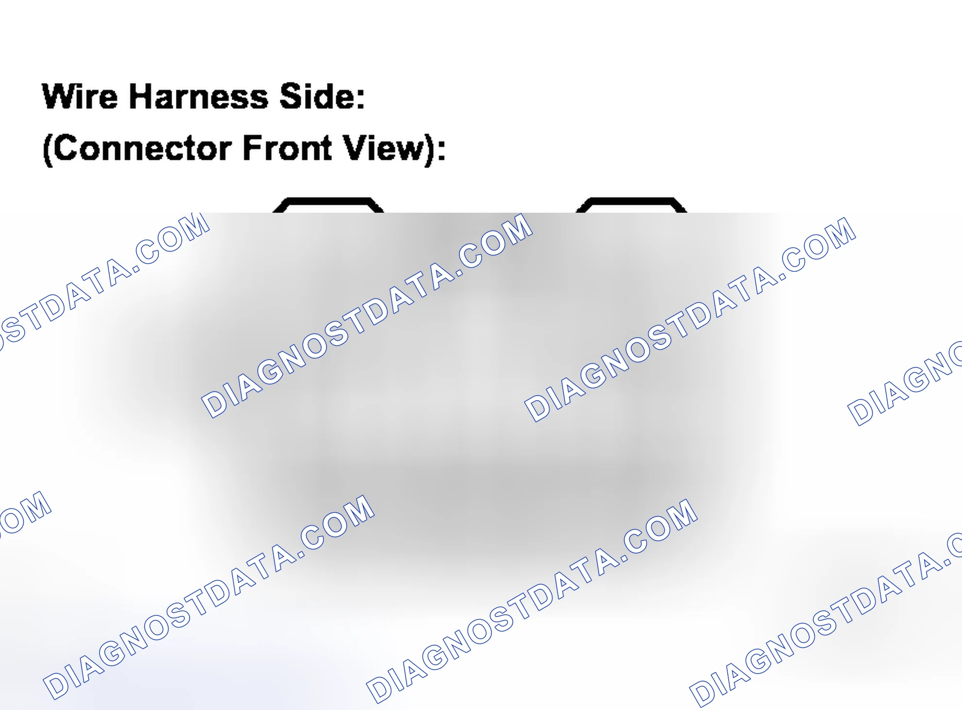 Scheme 12: INSPECTION PROCEDURE