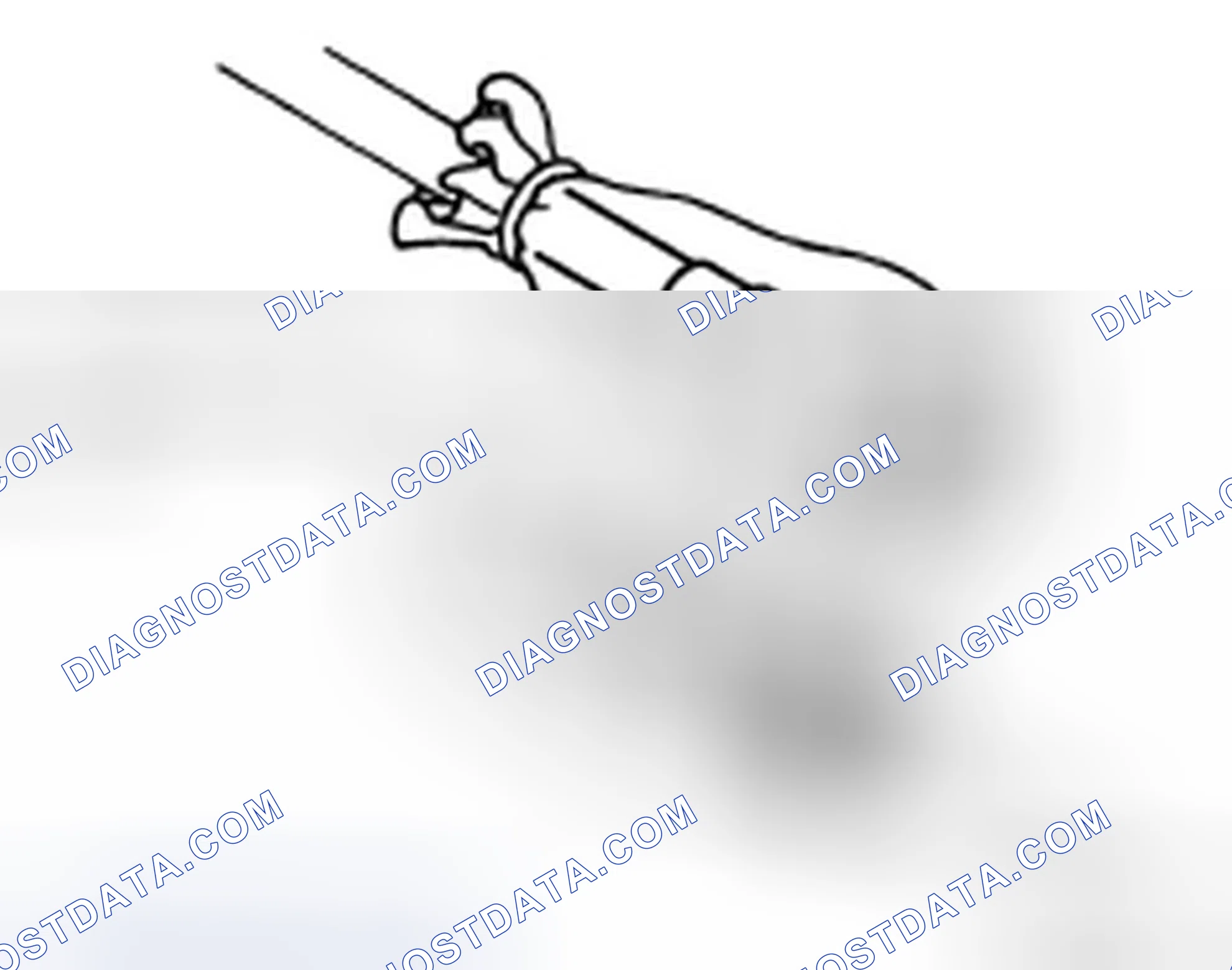 Scheme 107