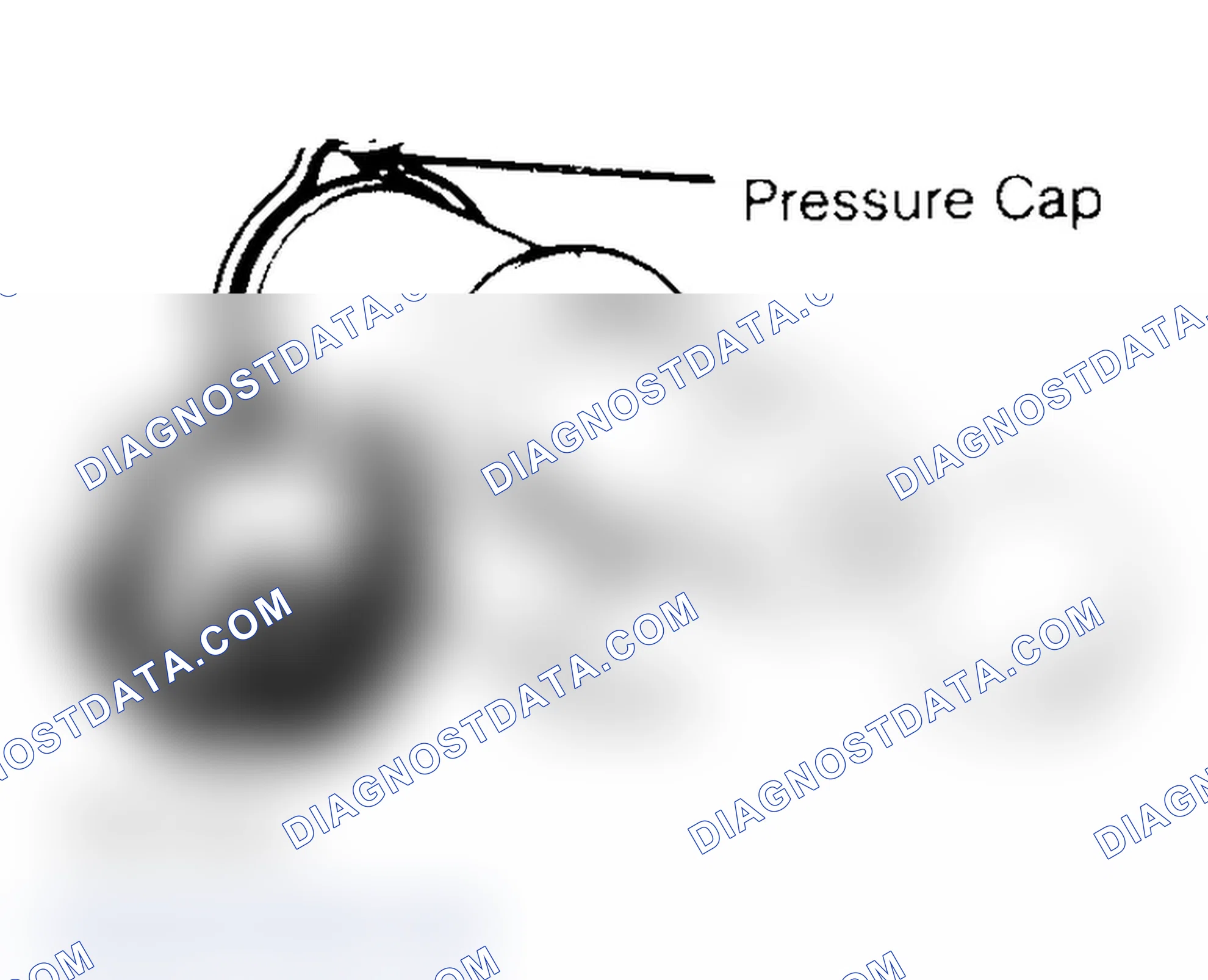 Scheme 2: Pressure Testing Radiator Cap