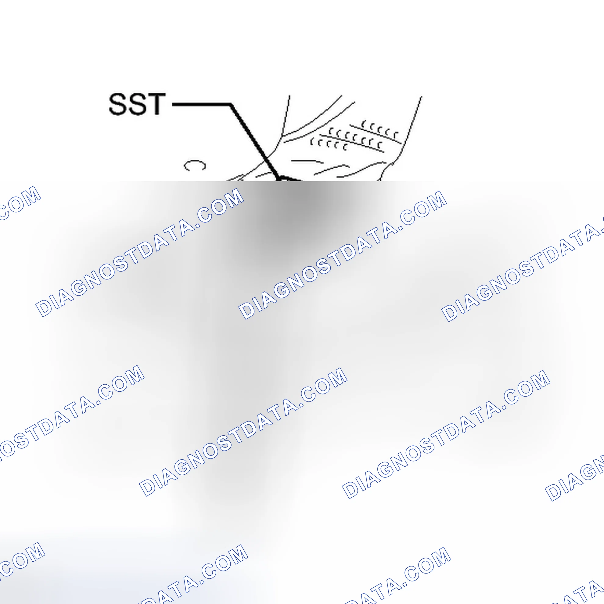 Scheme 290