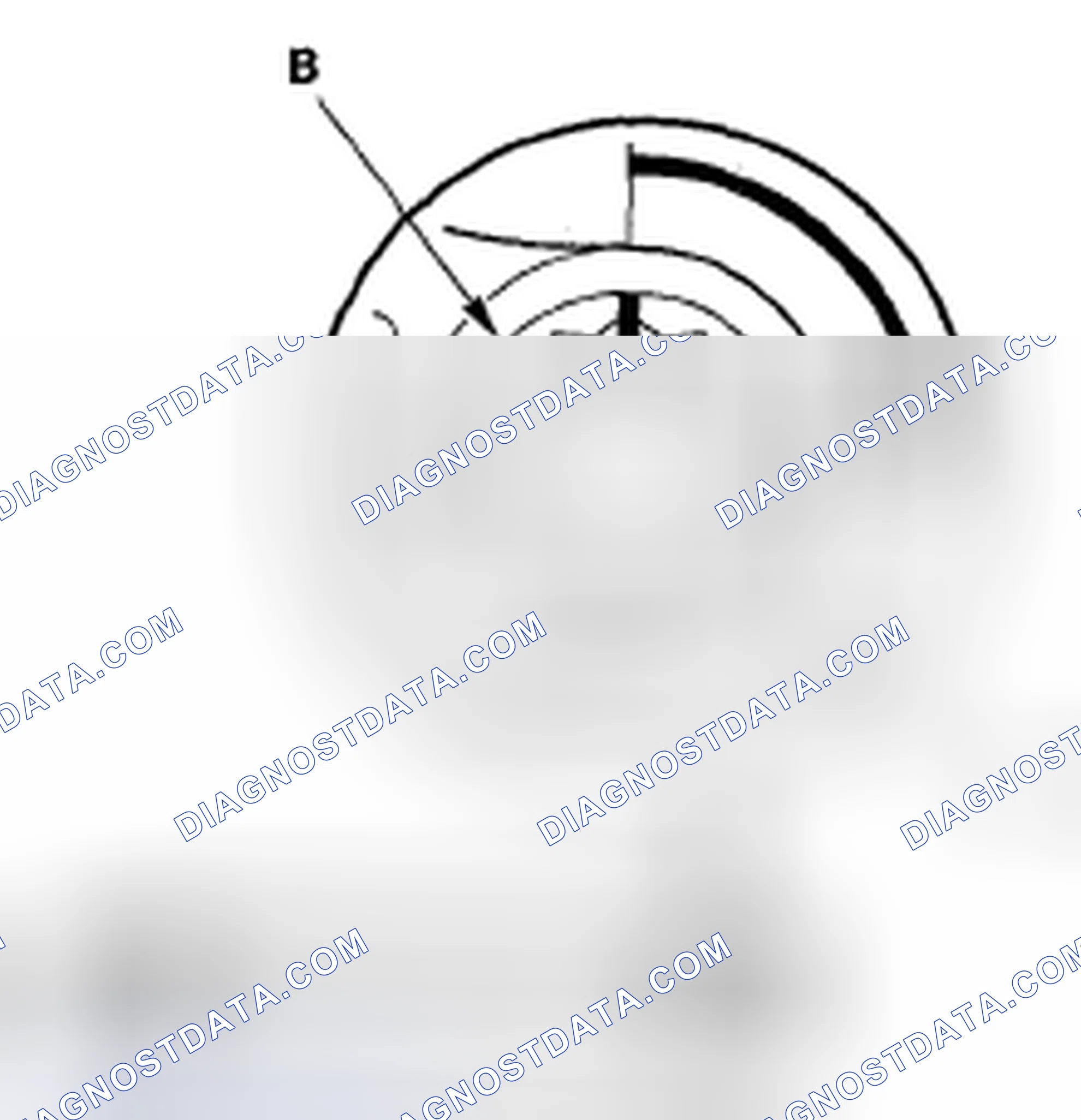 Scheme 323