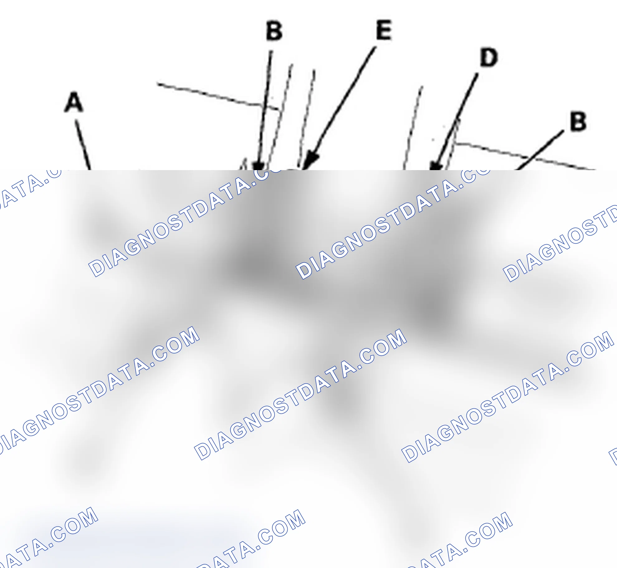 Scheme 306