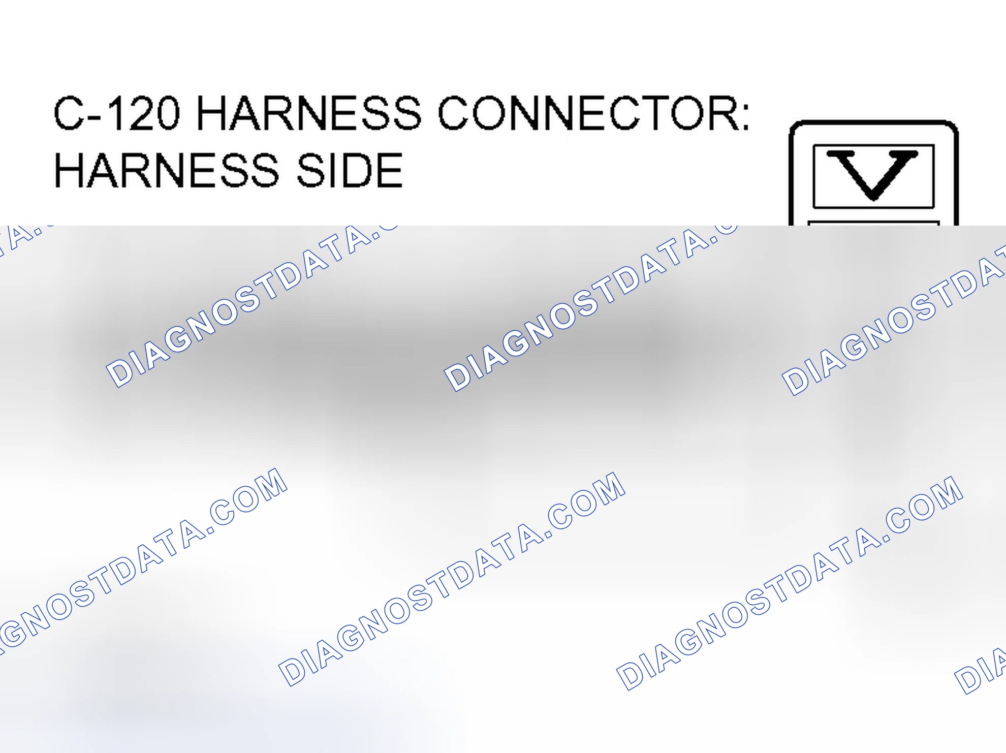 Scheme 289