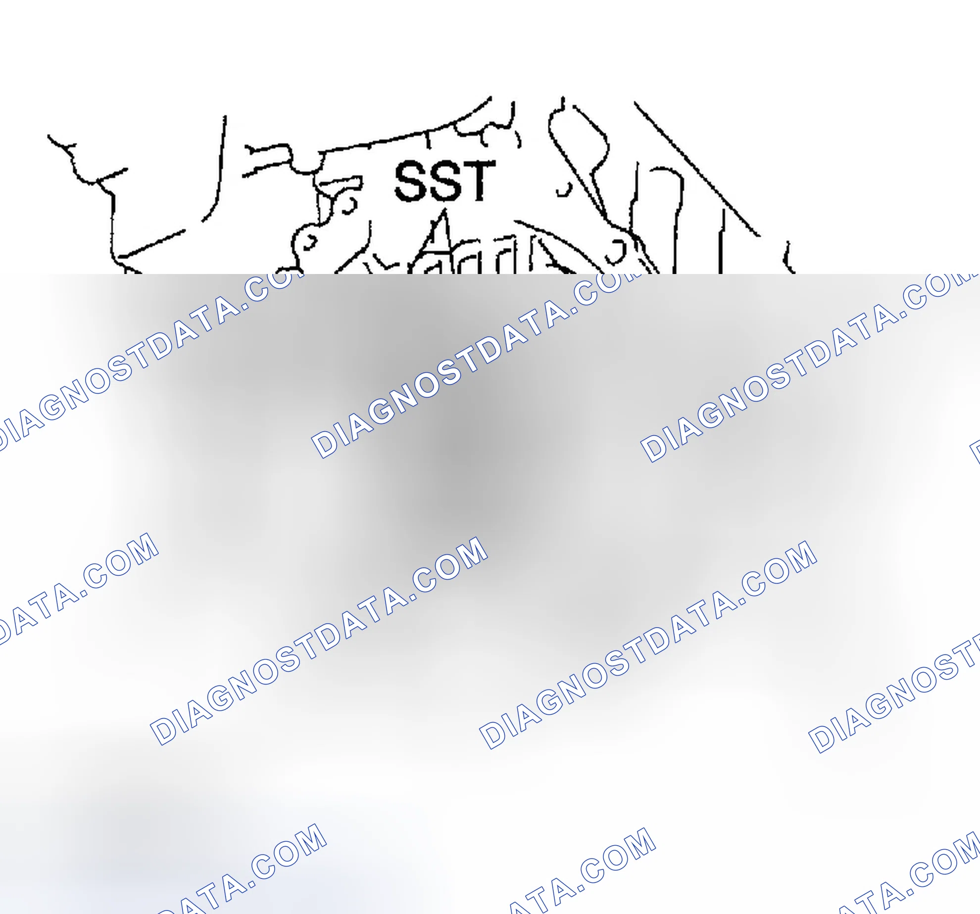 Scheme 265