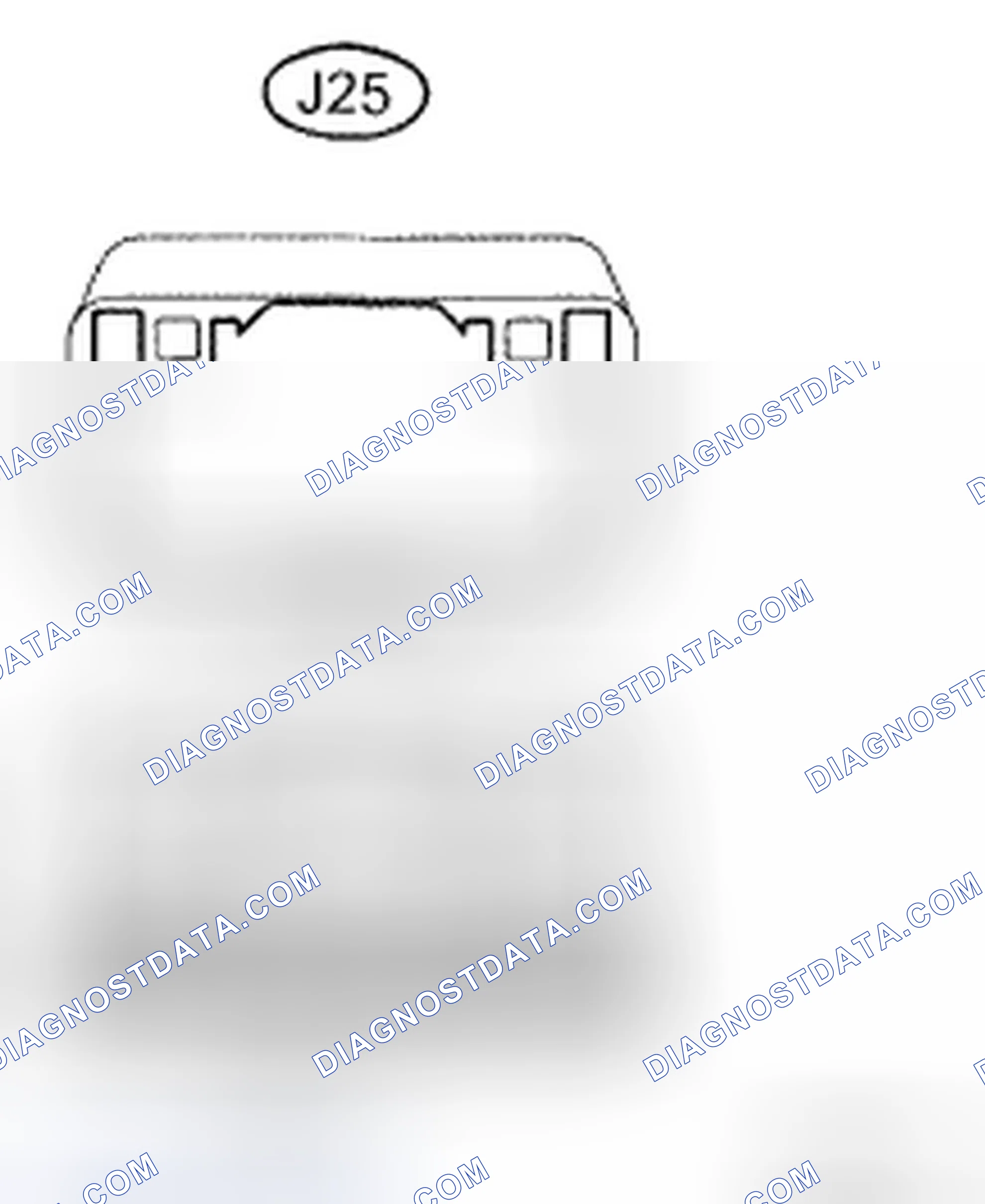 Scheme 25: INSPECTION PROCEDURE