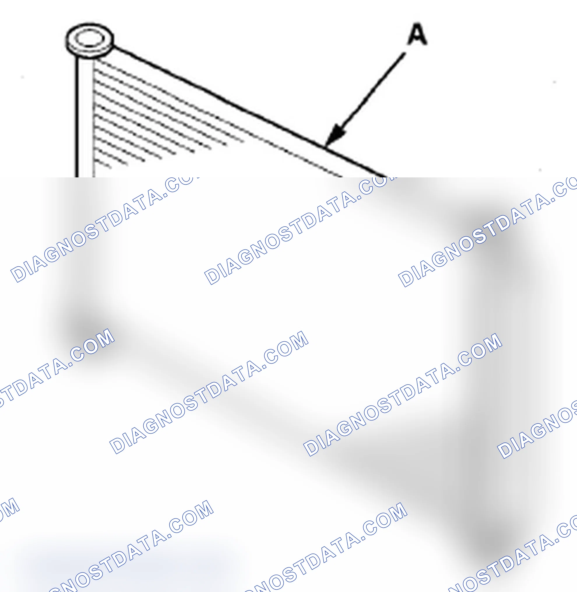 Scheme 5