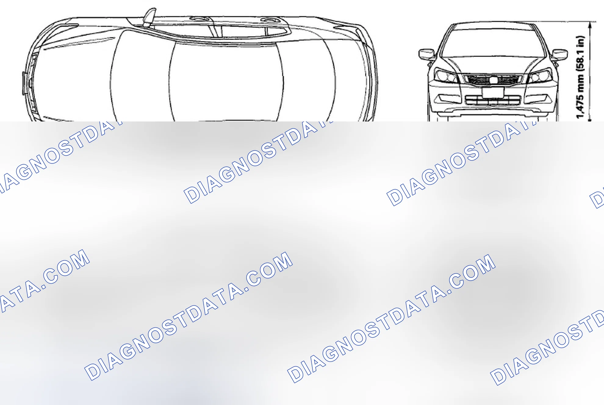 Scheme 1: Body Specifications
