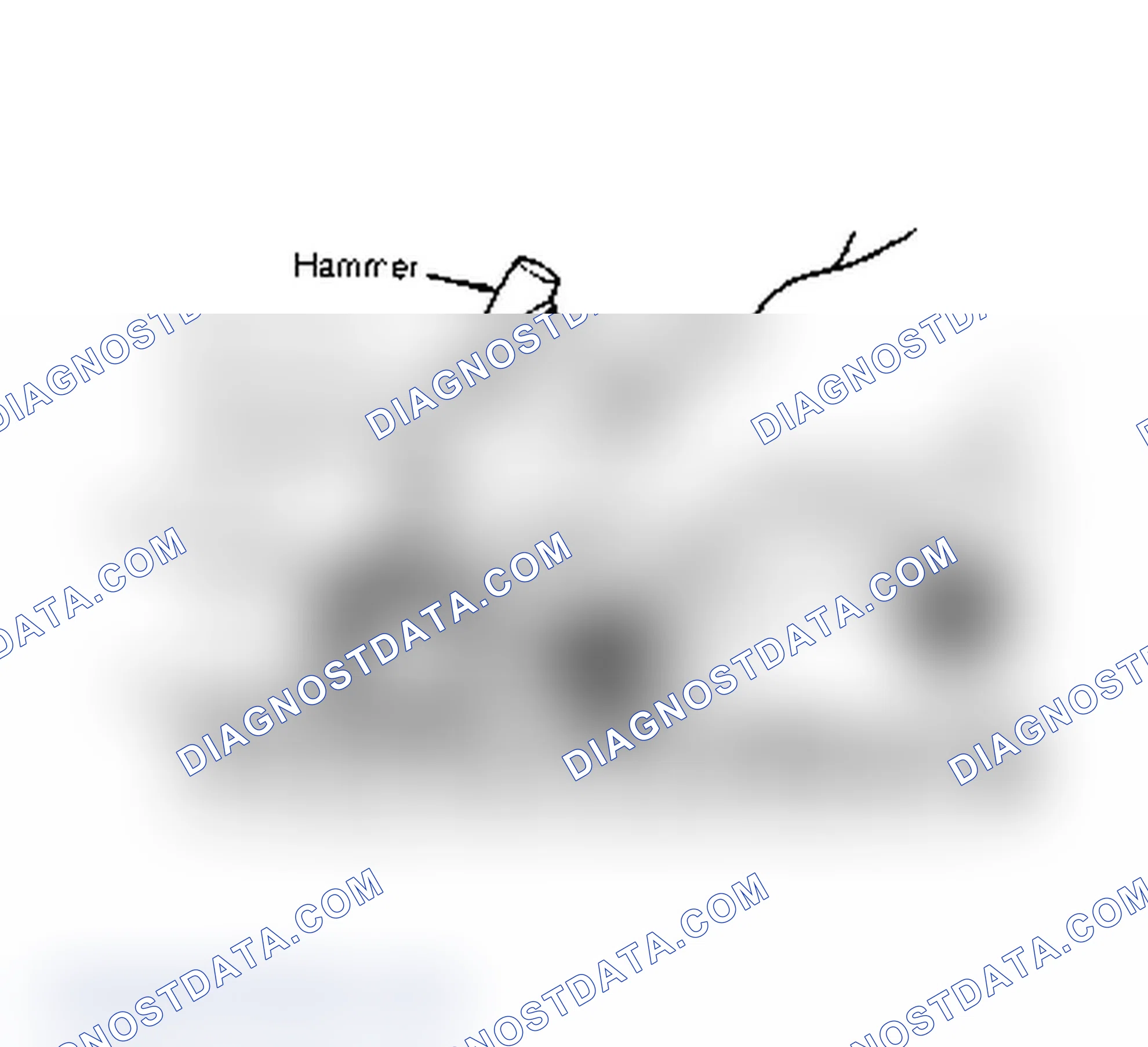 Scheme 4: Removal