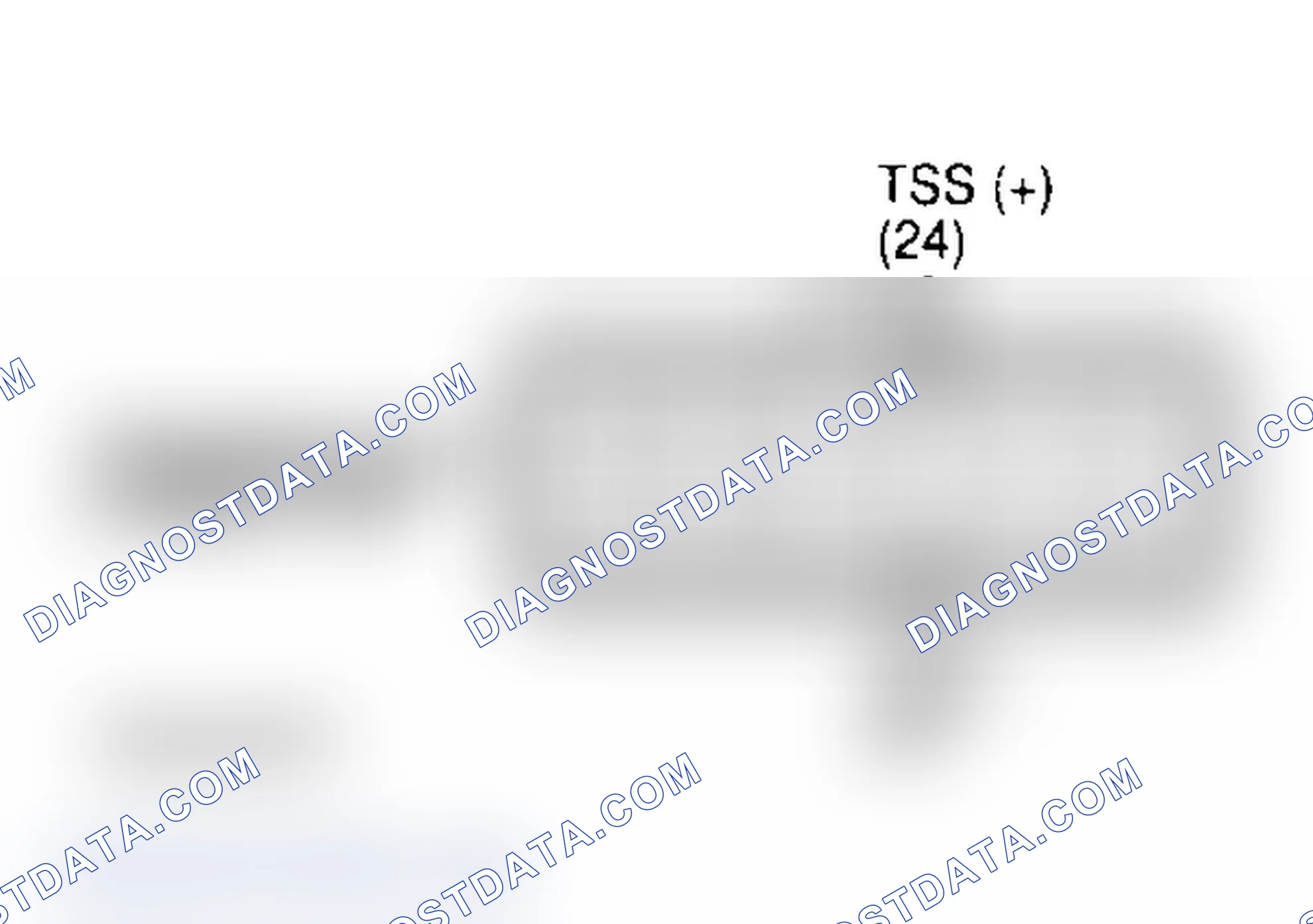 Scheme 273: Identifying Transmission 12-Pin Connector Terminals