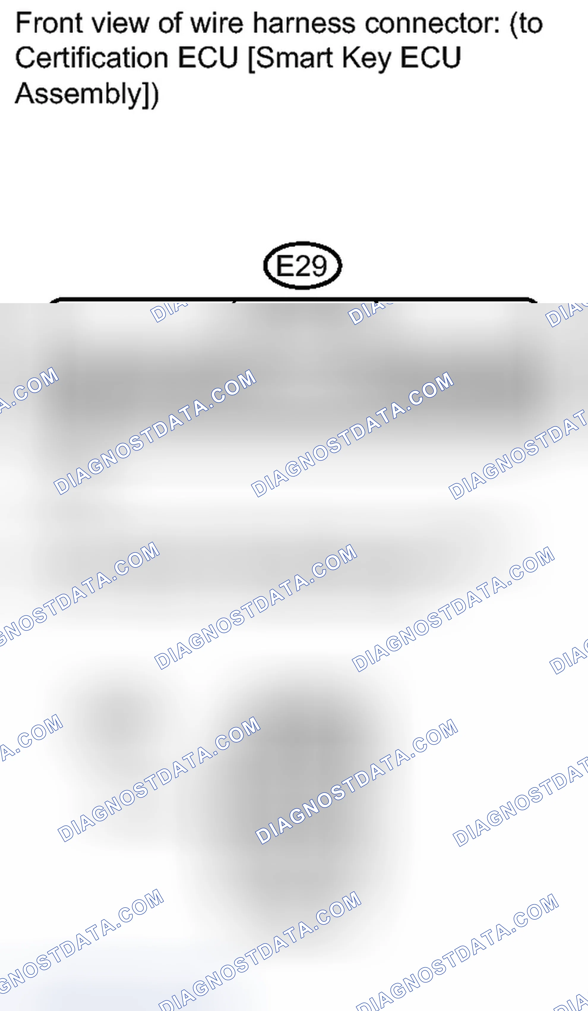 Scheme 256