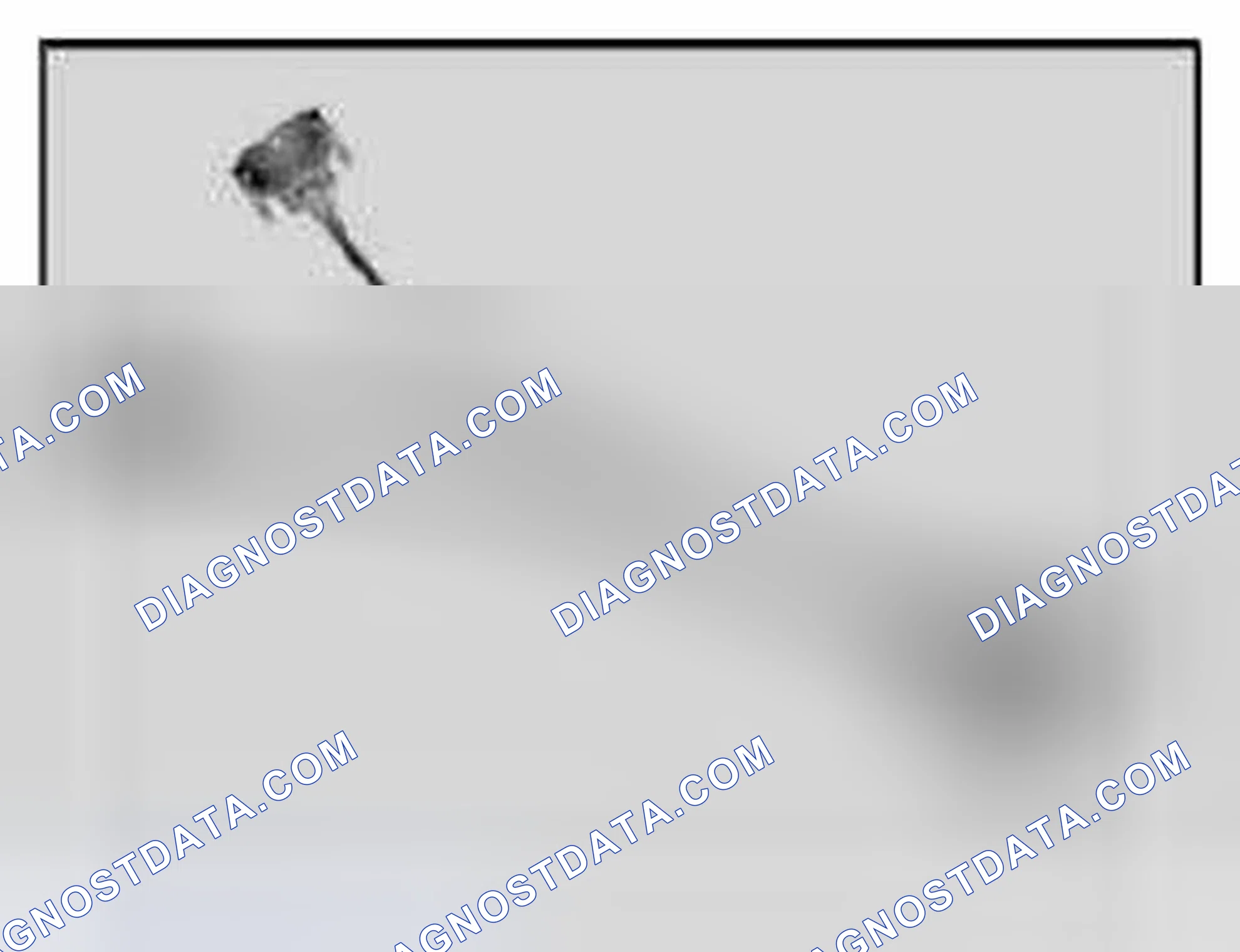 Scheme 229: 61 3 130 I-Adapter Lead Airbag Control Unit E83 (75-pin)