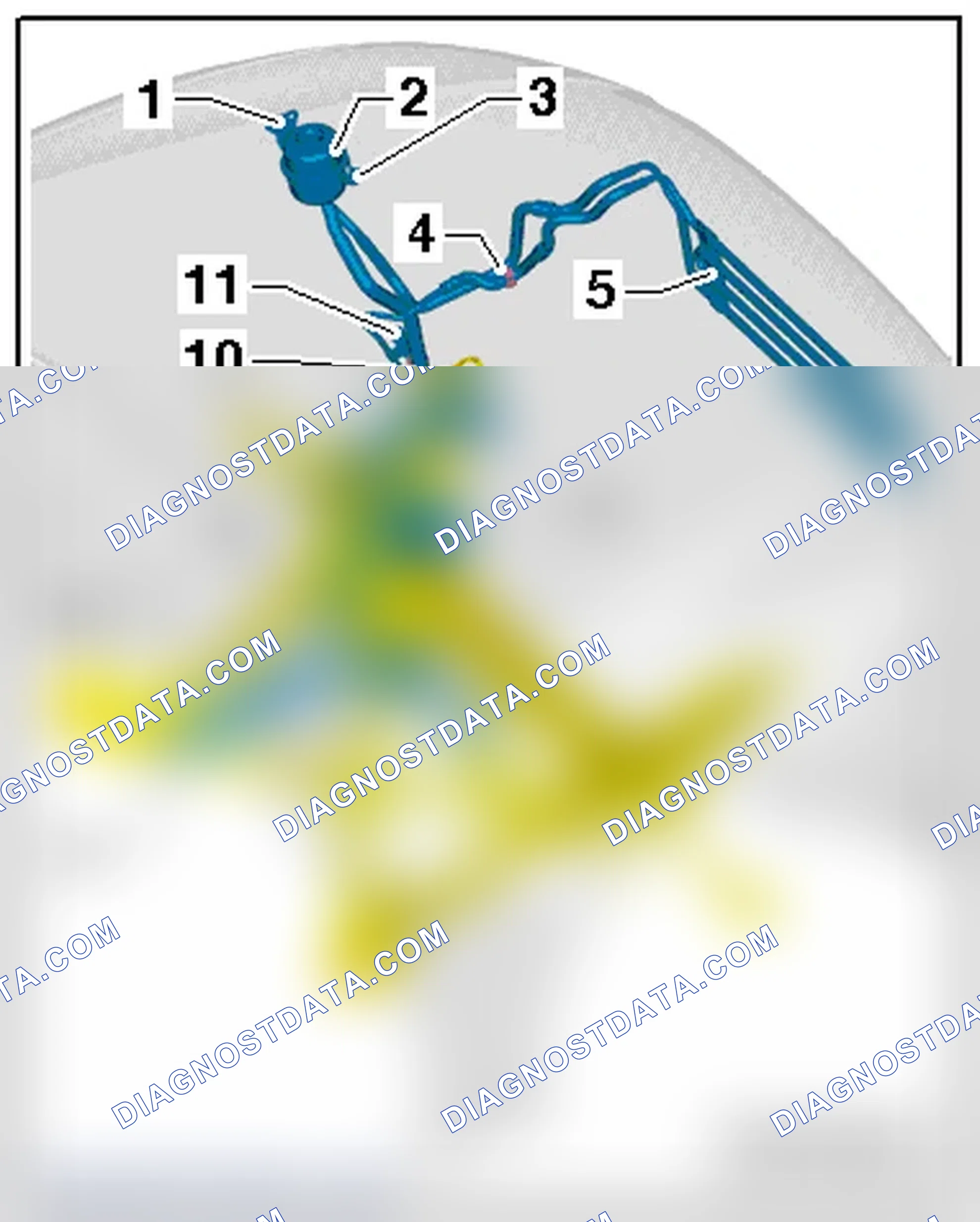 Scheme 37: LINES AND HOSES OVERVIEW