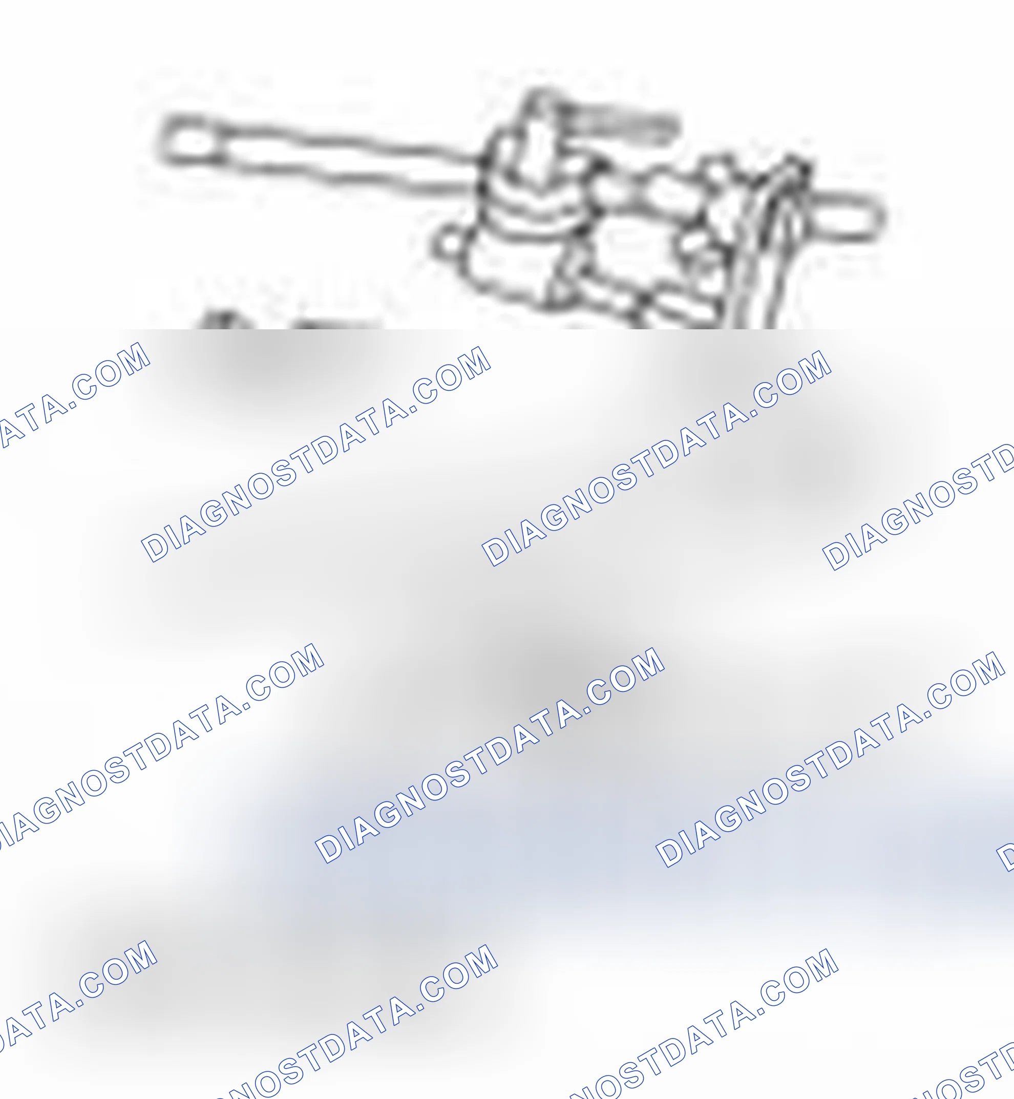 Scheme 2313: Special Tool(s)