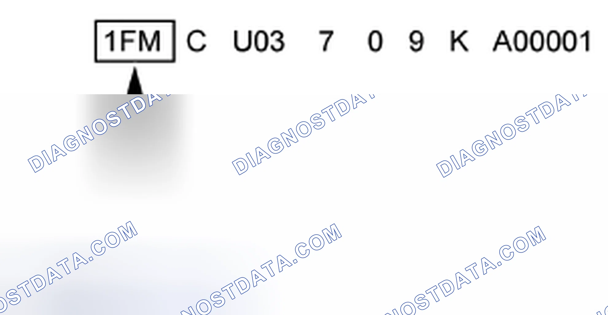 Scheme 3: World Manufacturer Identifier (WMI)