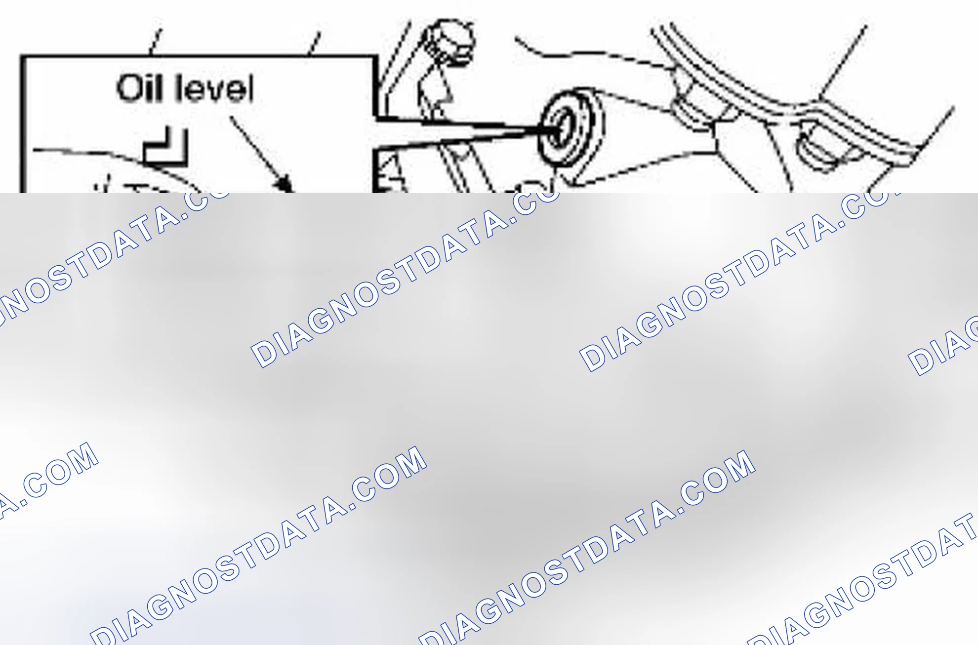 Scheme 39: DIFFERENTIAL GEAR OIL LEAKAGE AND LEVEL