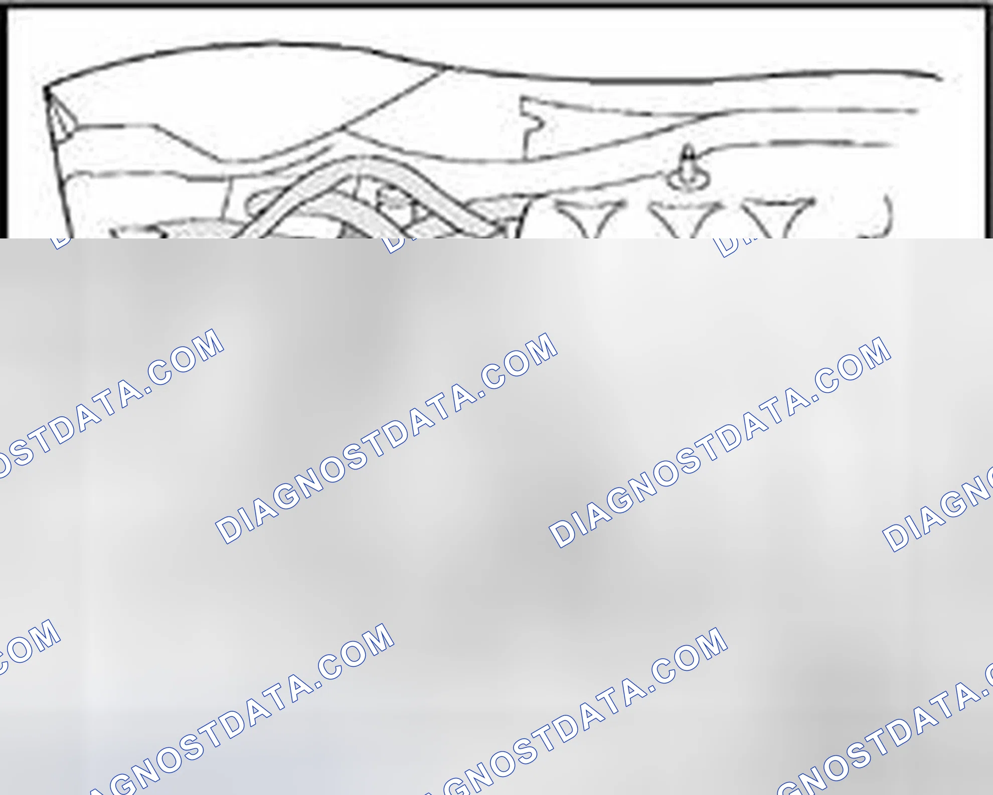 Scheme 265