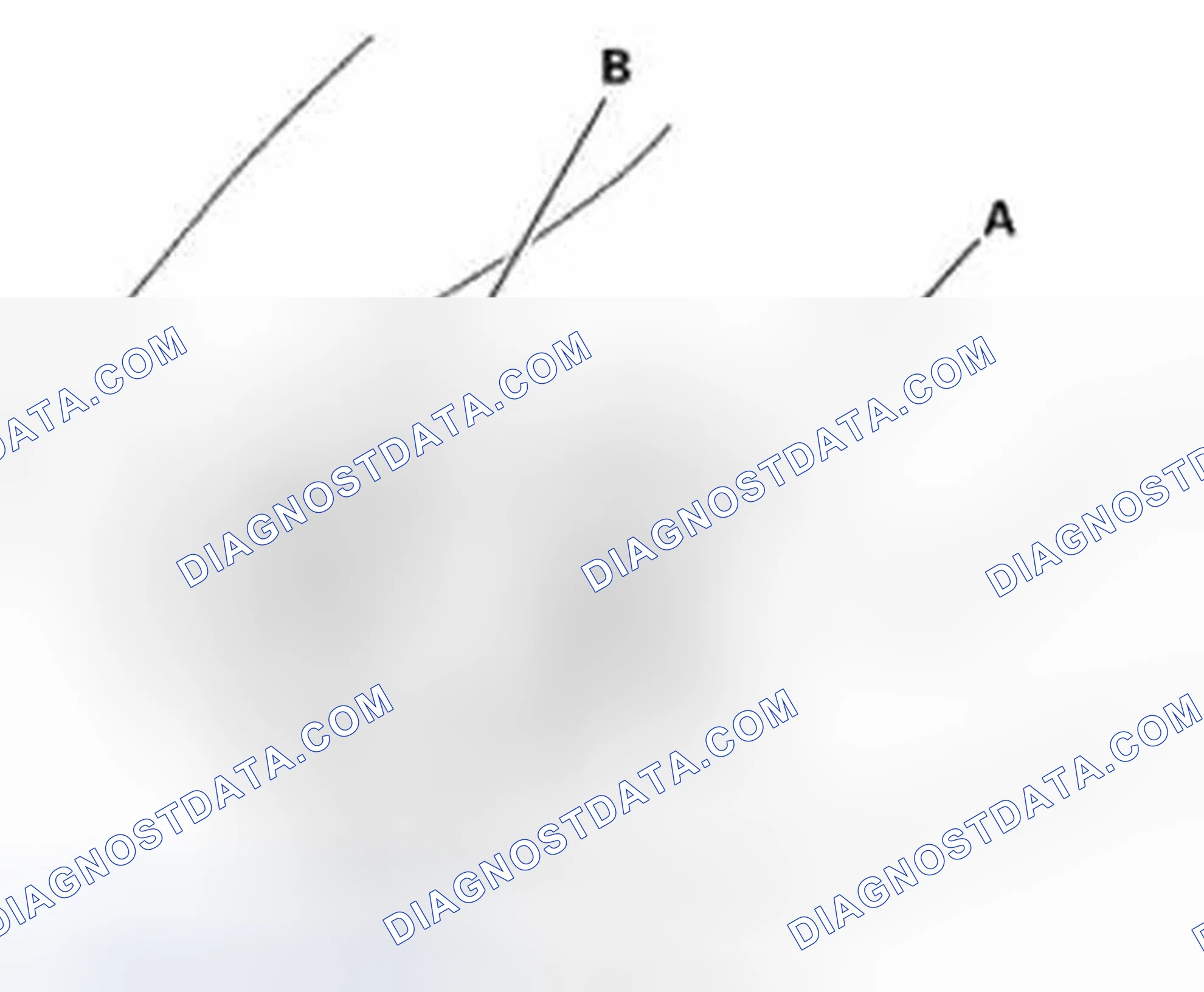 Scheme 46