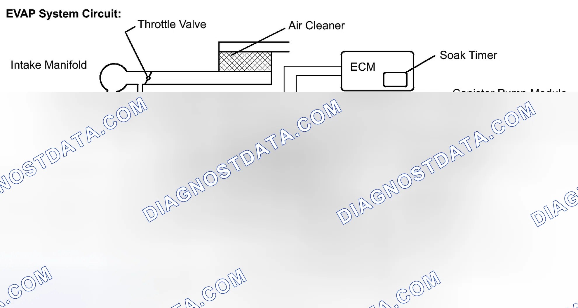 Scheme 151