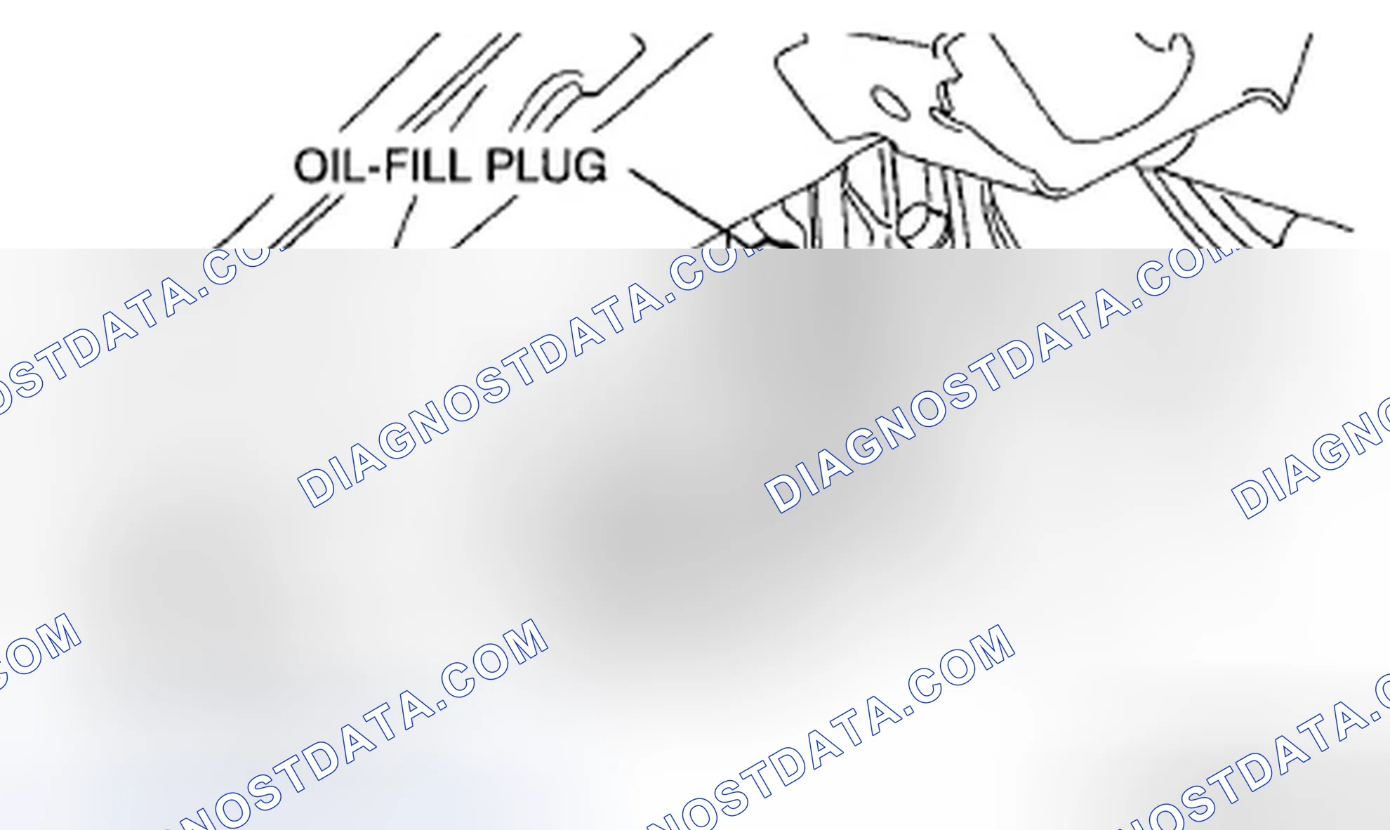 Scheme 2: DIFFERENTIAL OIL INSPECTION