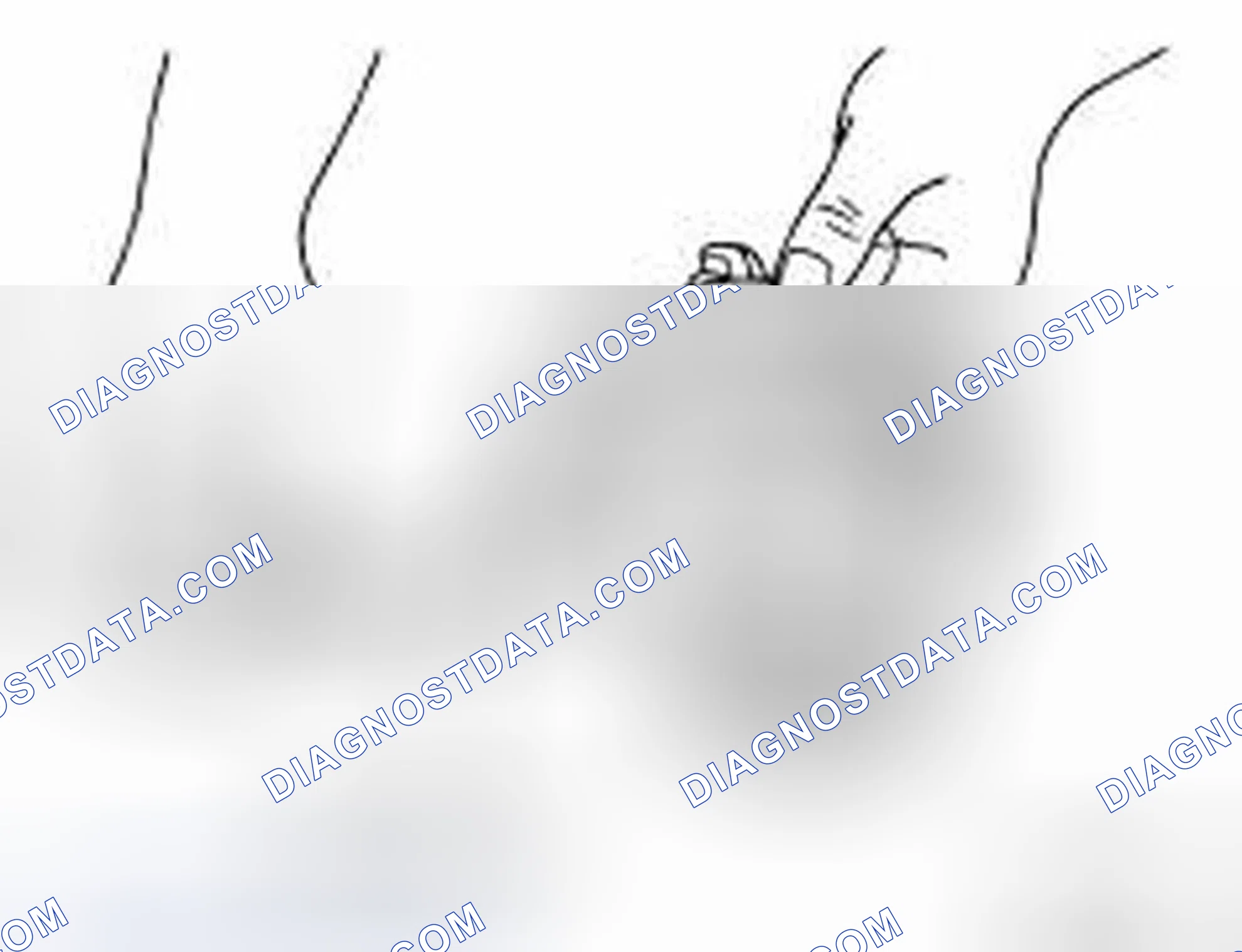Scheme 192: Piston Skirt Diameter