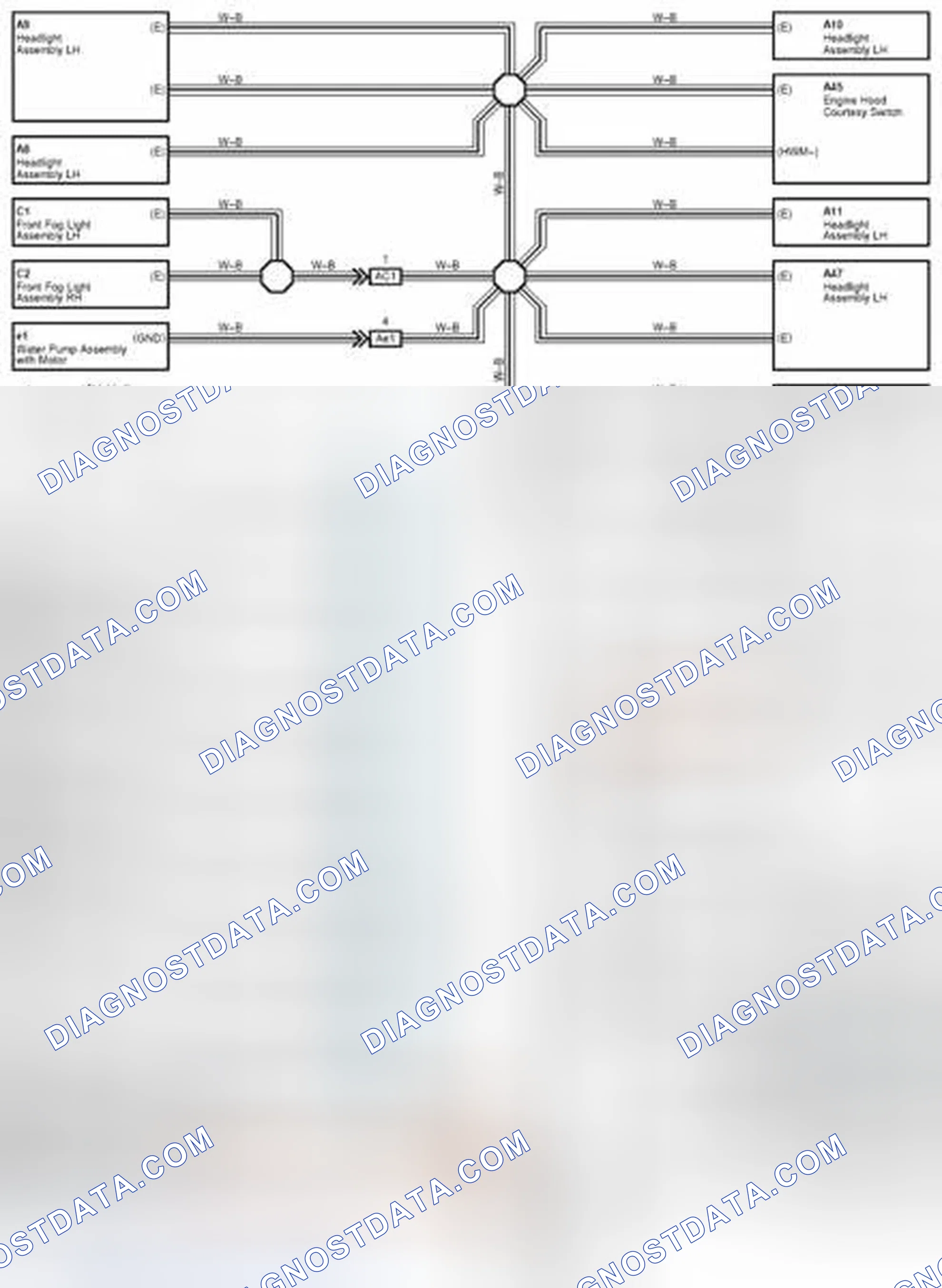 Scheme 541