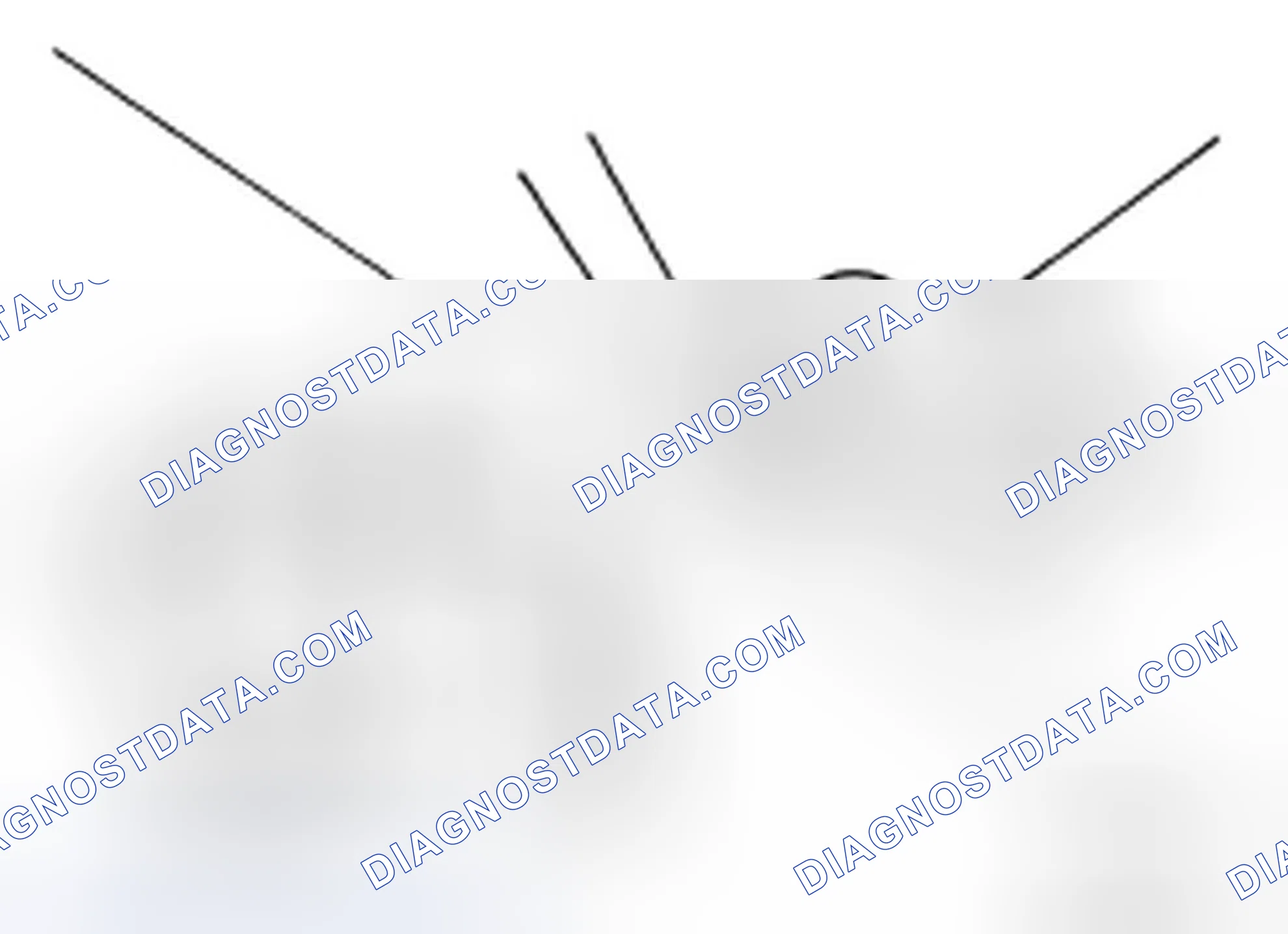 Scheme 50: BRAKE FLUID : Changing