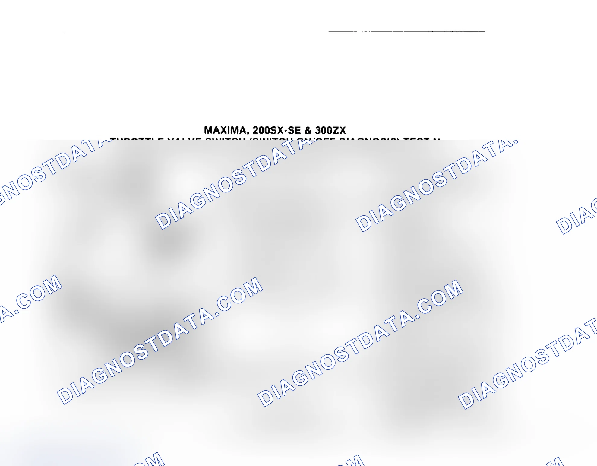 Scheme 134: Test N, Maxima, 200SX-SE & 300ZX