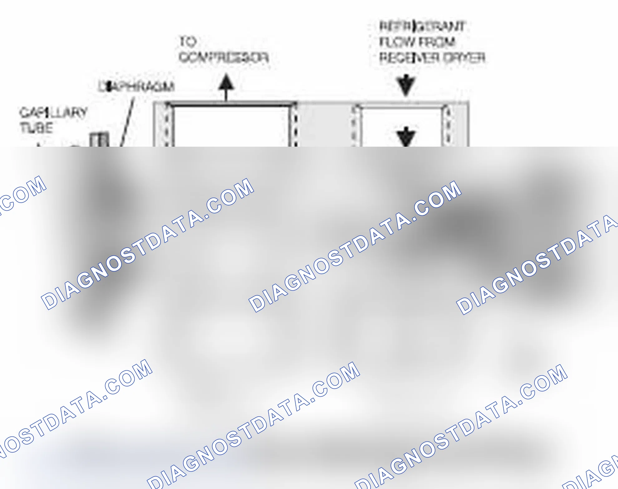 Scheme 113
