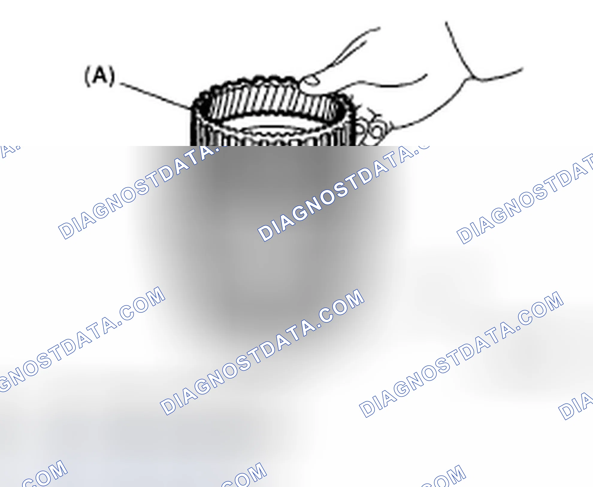 Scheme 381