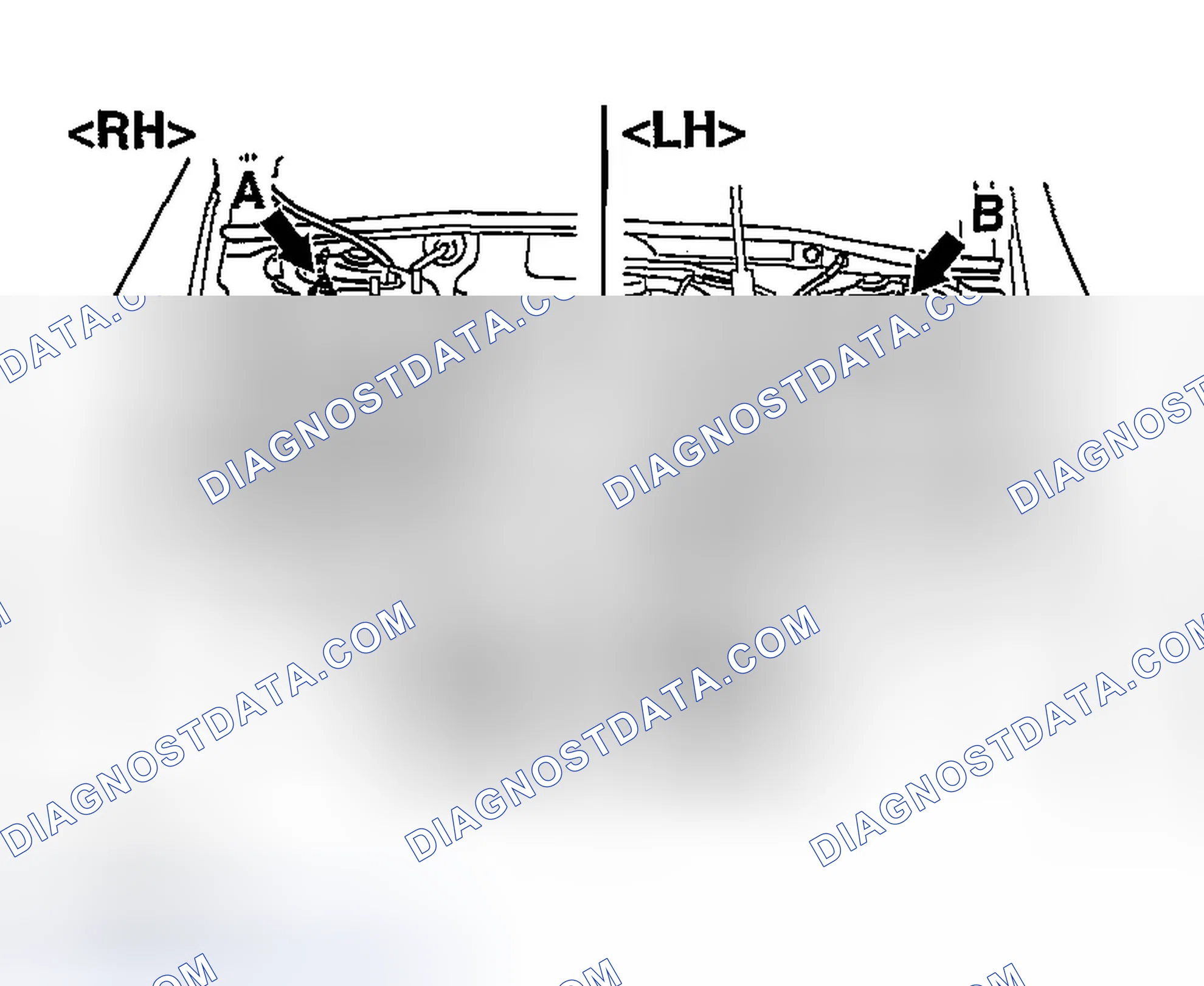 Scheme 5