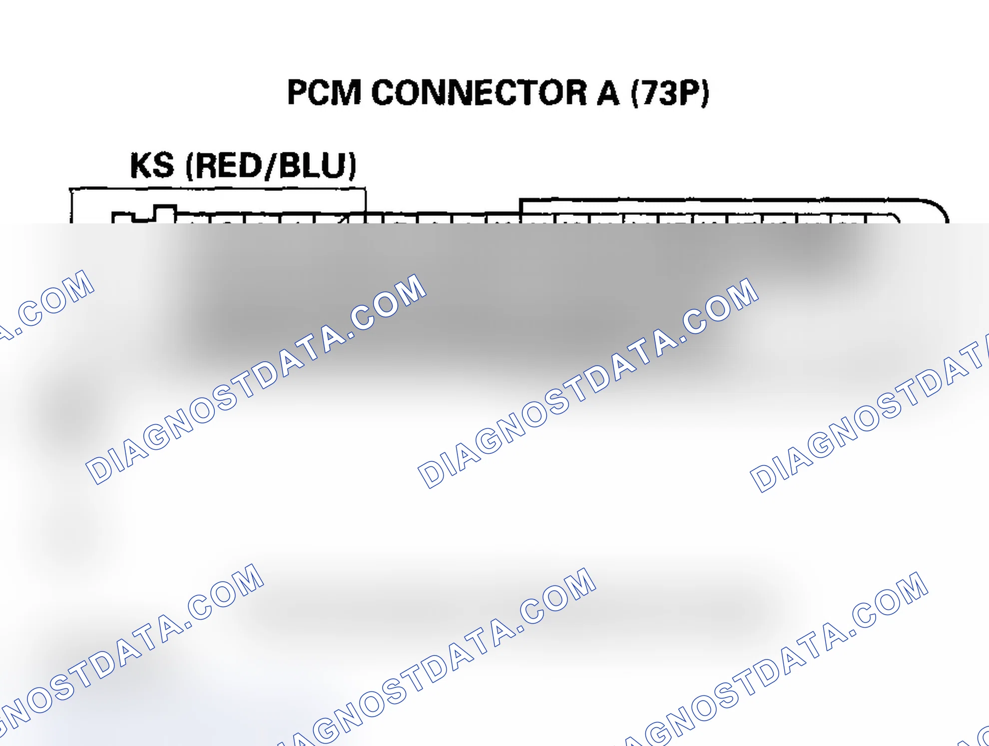 Scheme 113: DTC P0325: Knock Sensor Circuit Malfunction