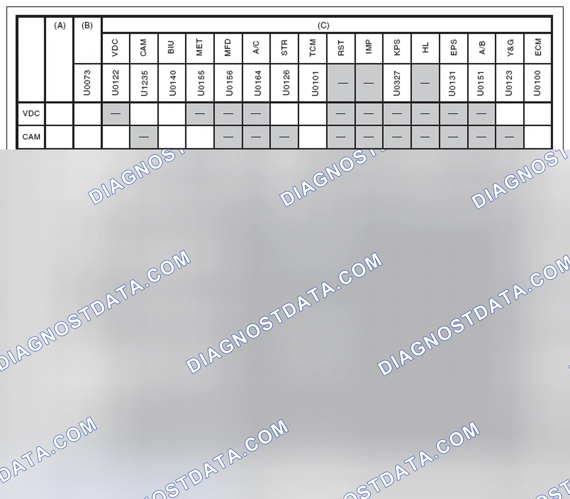 Scheme 70: DTC check sheet
