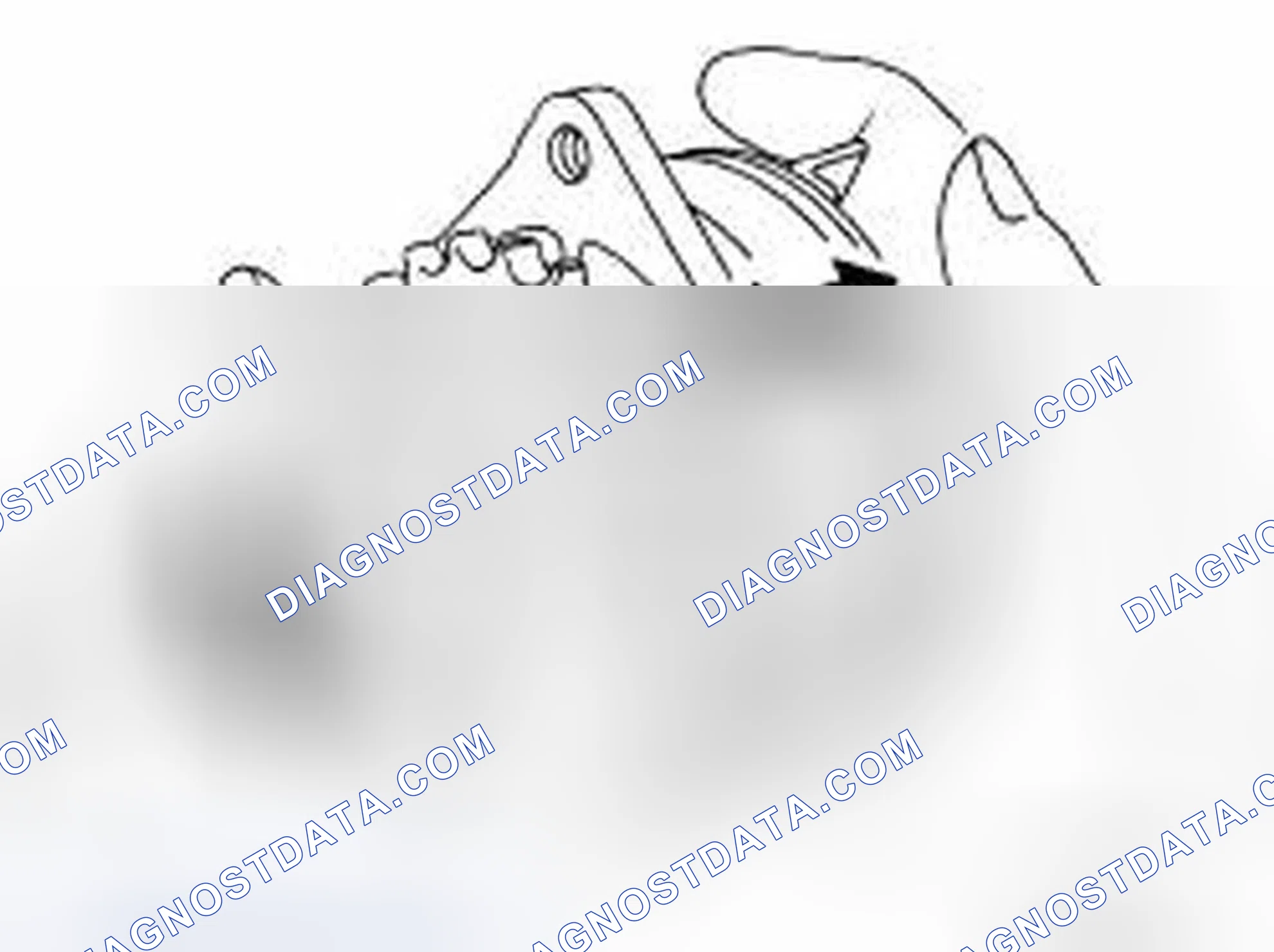 Scheme 17: INSPECTION AFTER REMOVAL