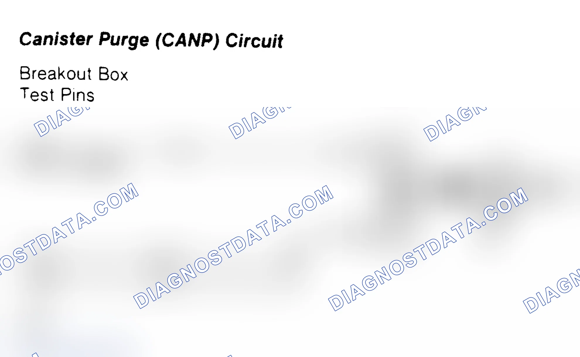 Scheme 59: Canister Purge (CANP) Circuit