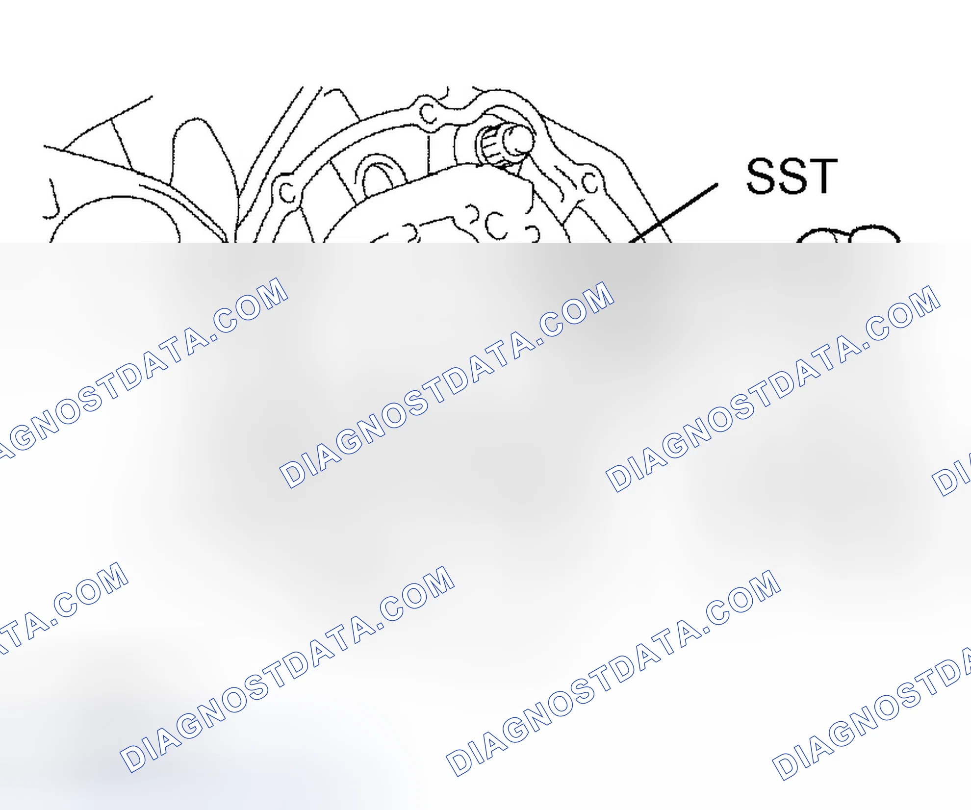 Scheme 973