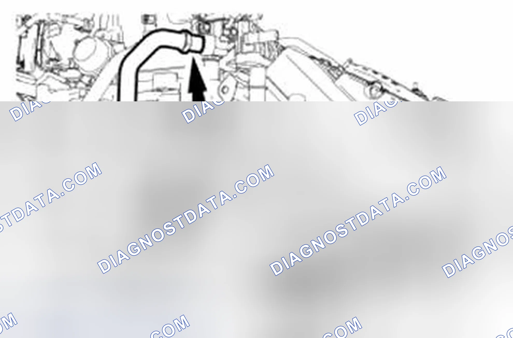 Scheme 1742