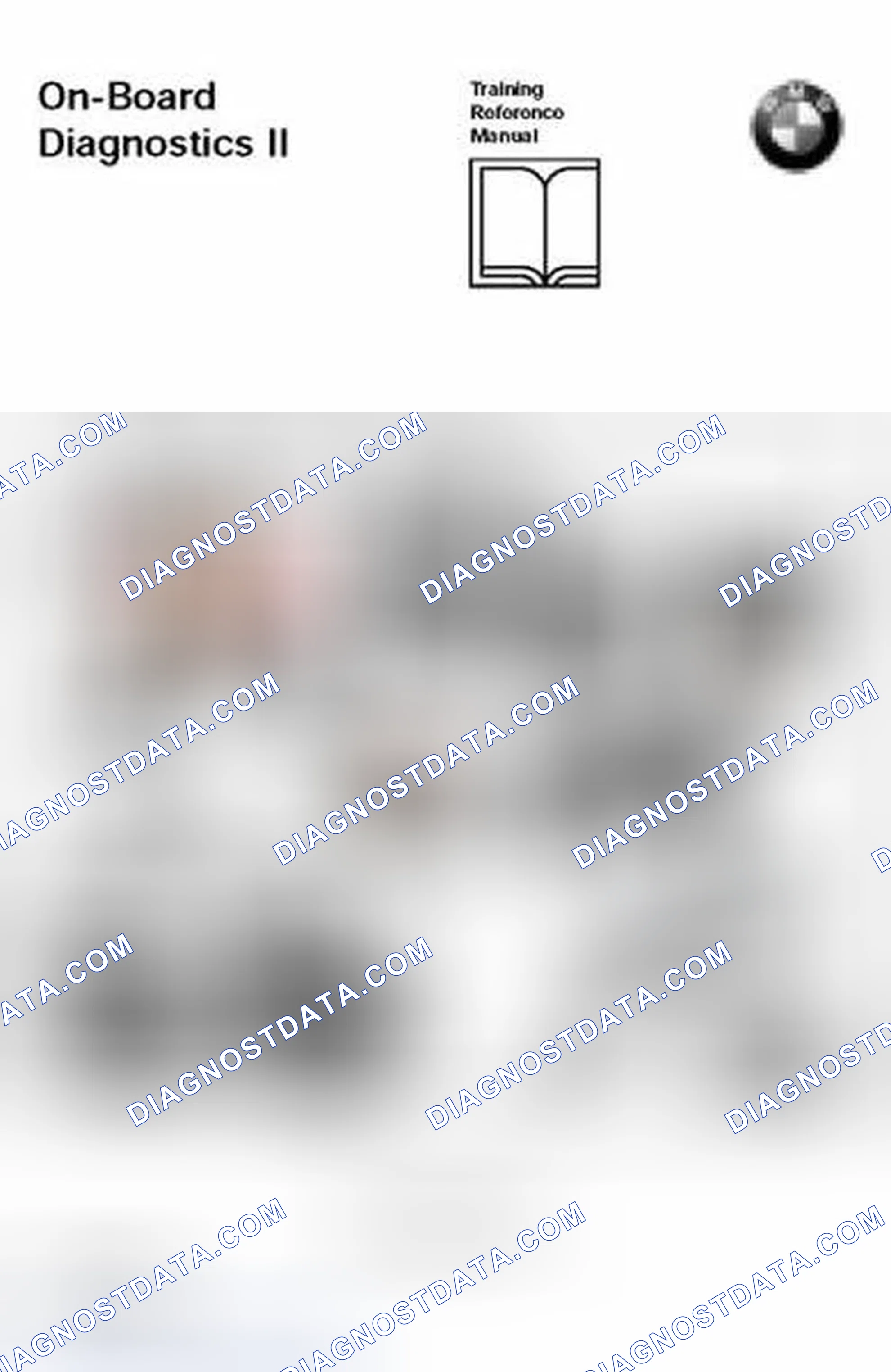 Scheme 333: Identifying On Board Diagnostic II Components