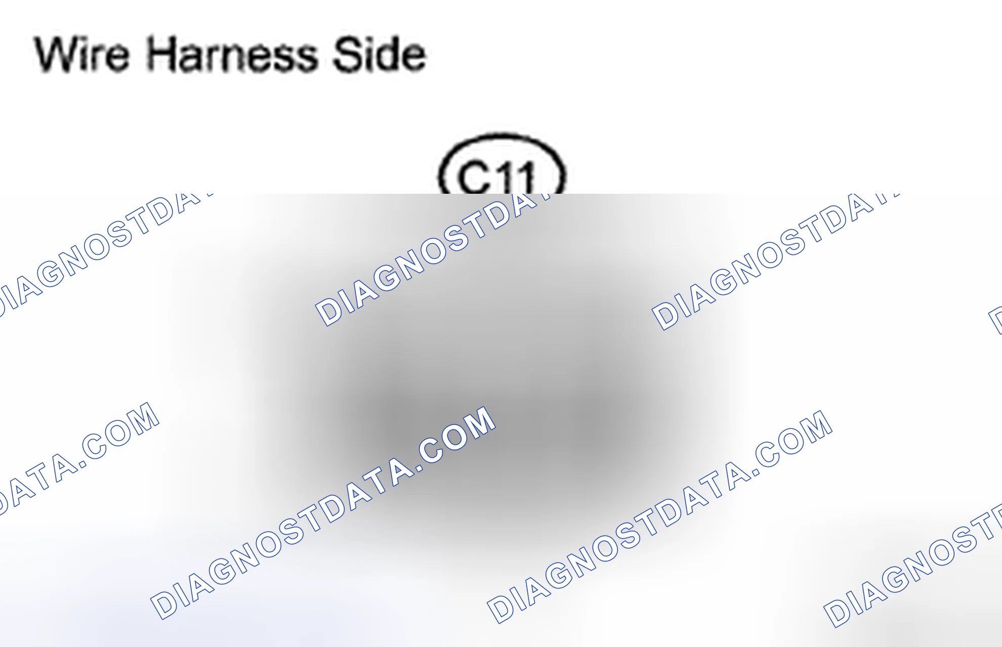 Scheme 24: INSPECTION PROCEDURE