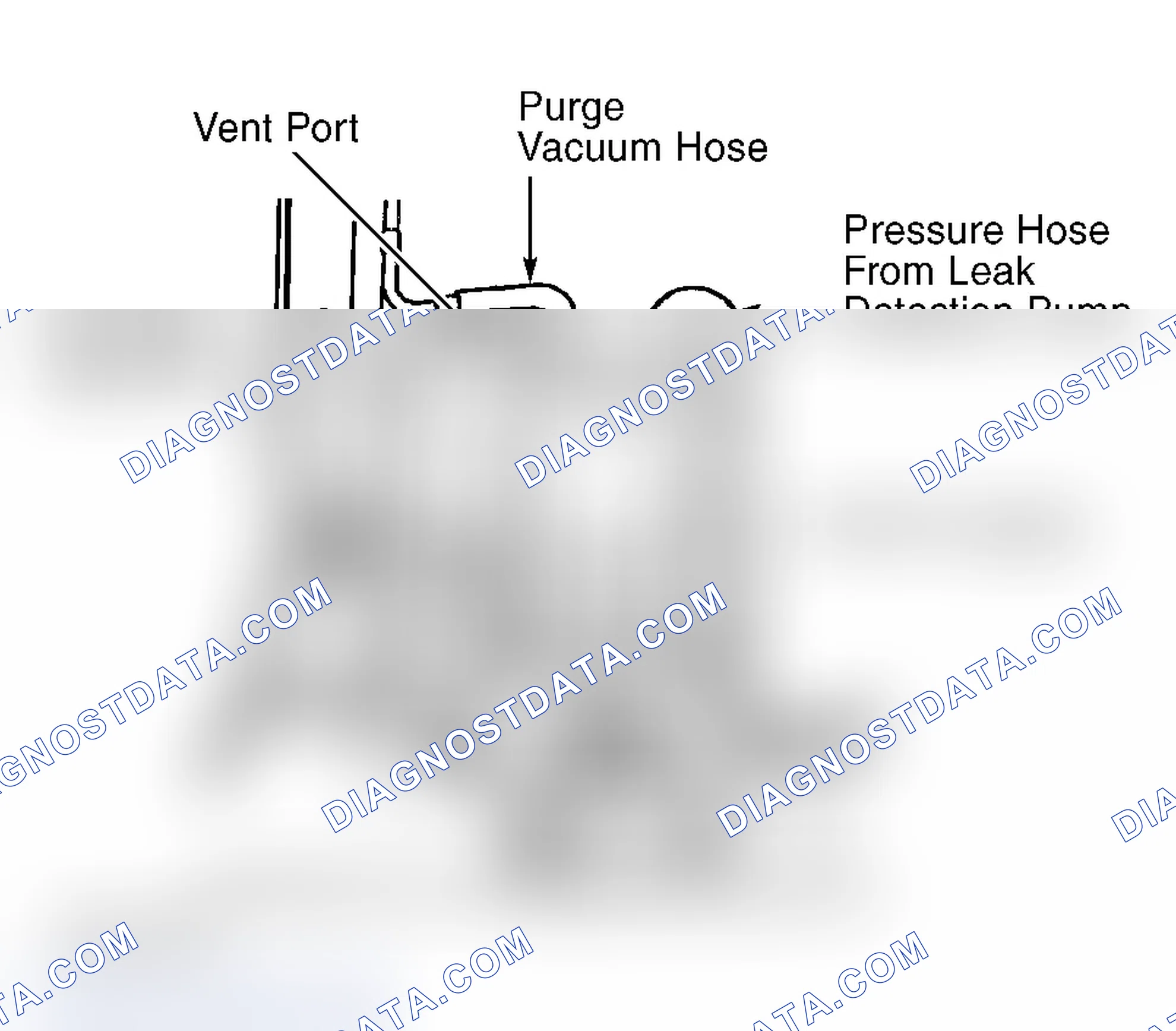 Scheme 49: Locating EVAP Canister & Identifying Hoses