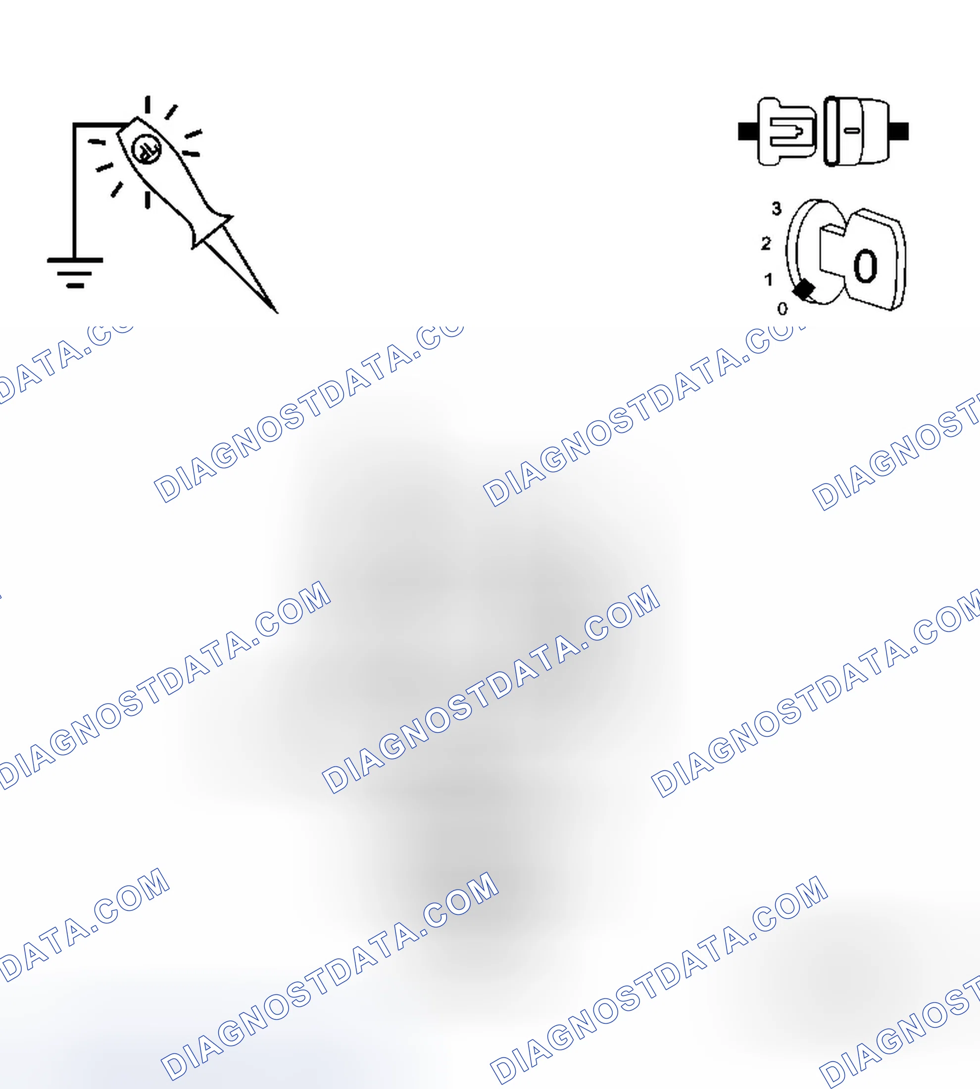 Scheme 306: Diagnostic Test