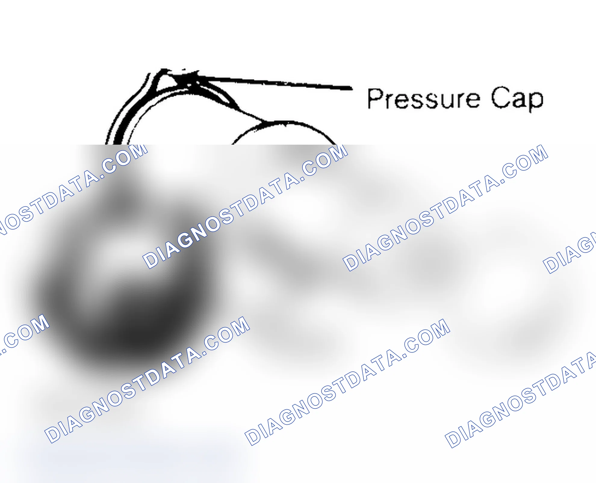 Scheme 2: Pressure Testing Radiator Cap