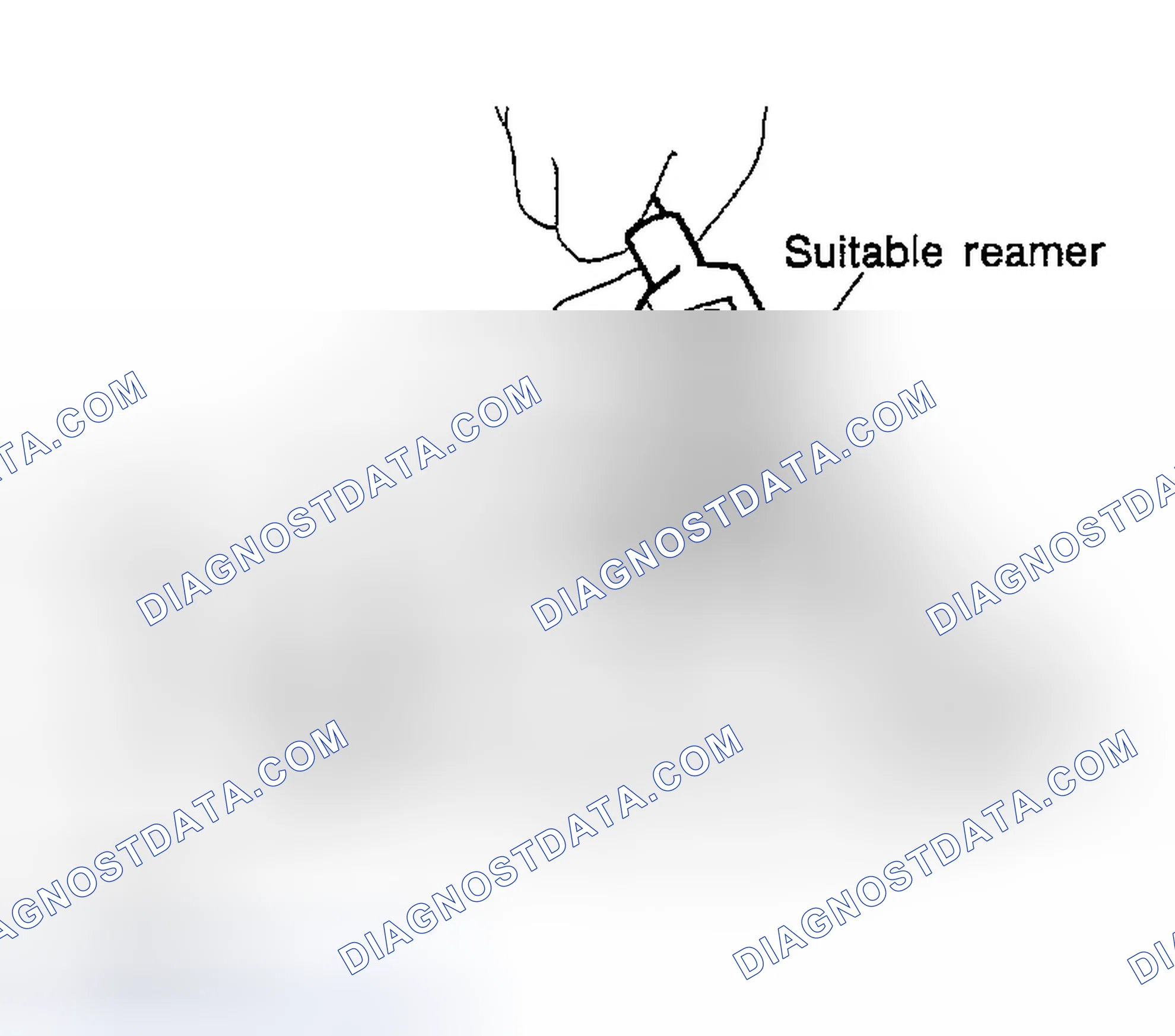 Scheme 181