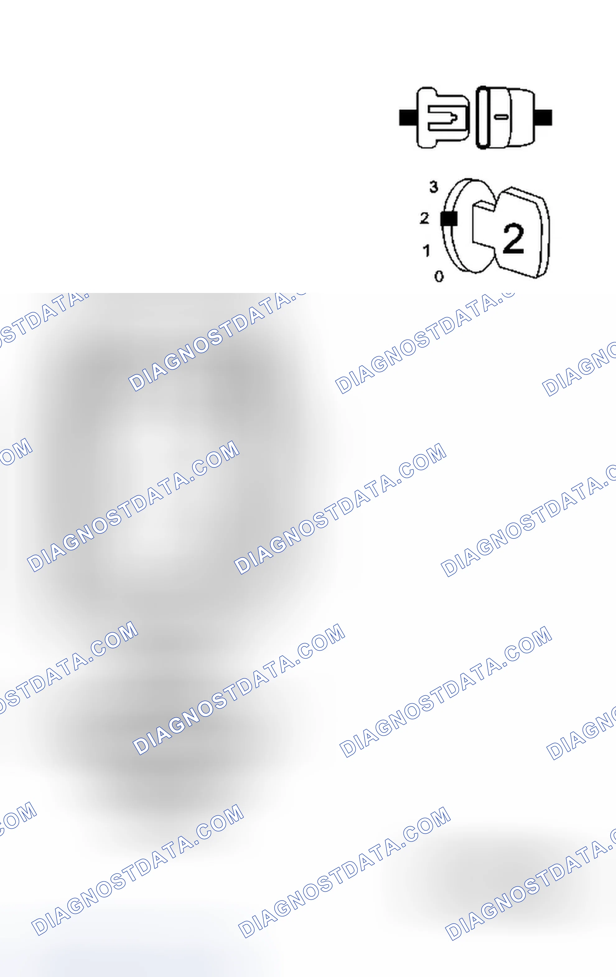 Scheme 13: Diagnostic Test