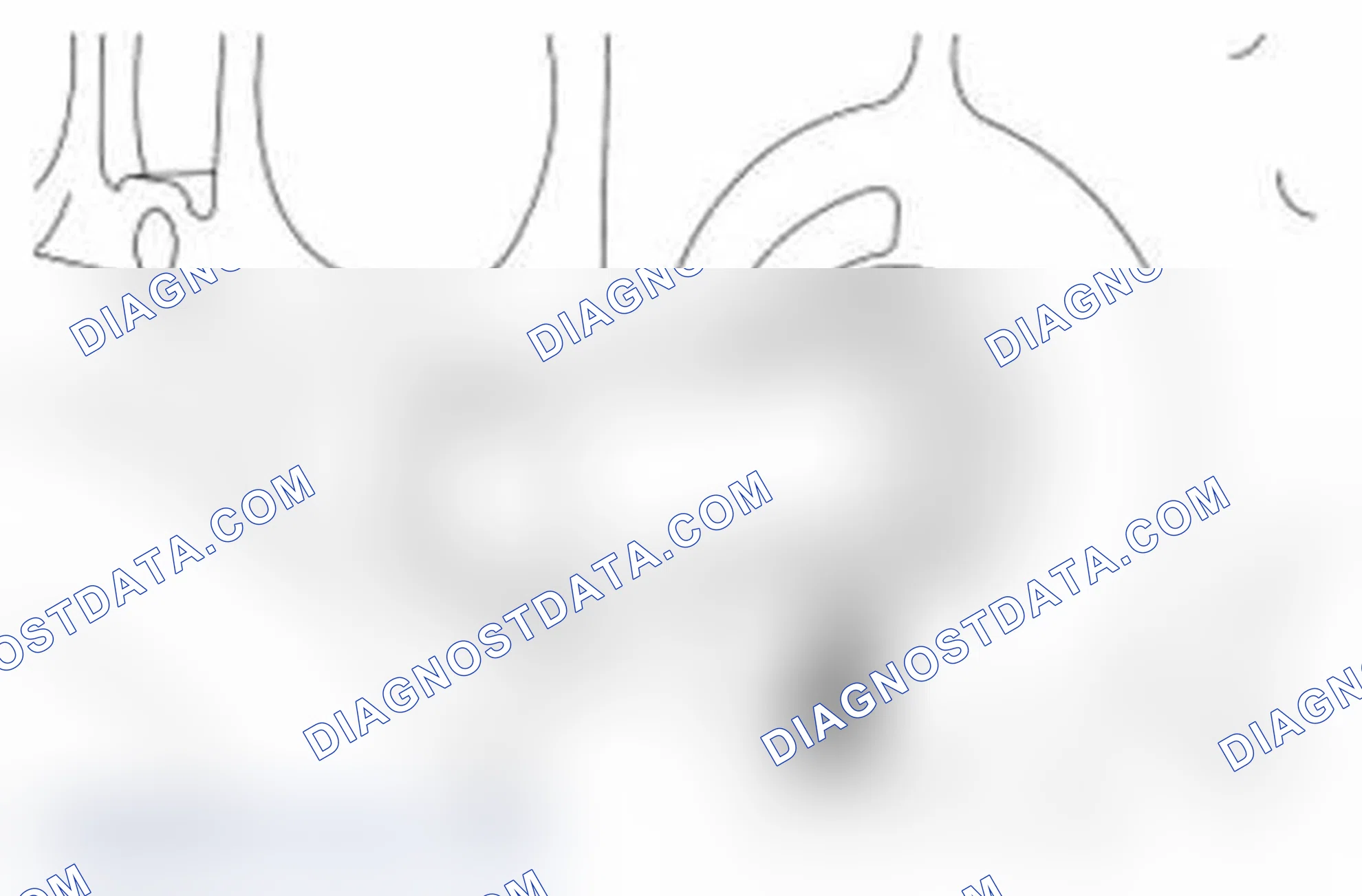 Scheme 1265