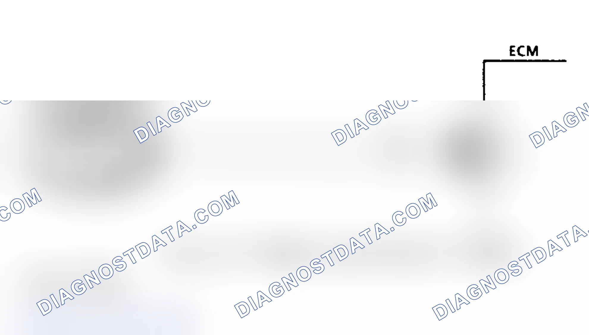 Scheme 193: Code 24, Schematic, L & N Bodies, Speed Sensor (VSS)