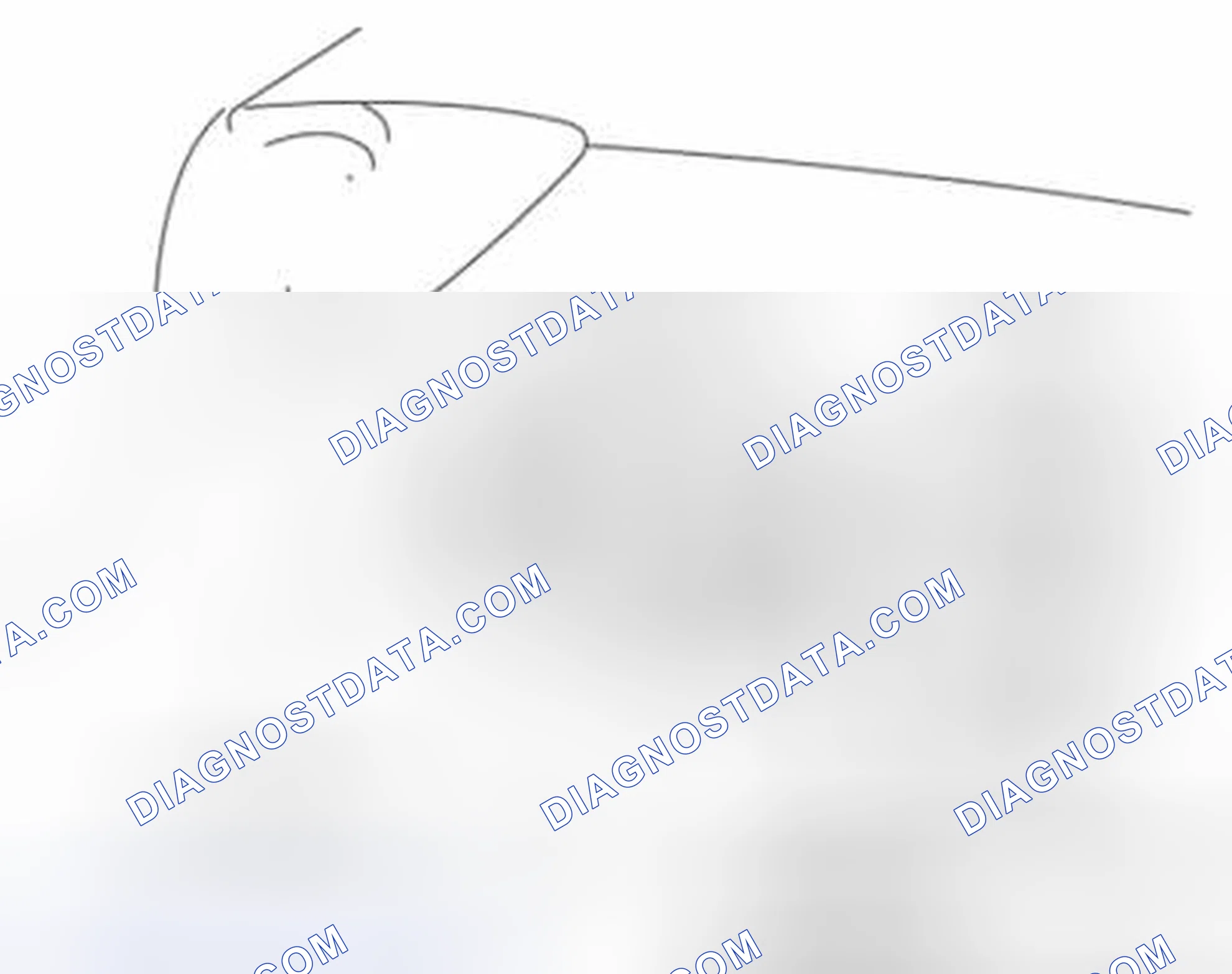 Scheme 59: Hatchback