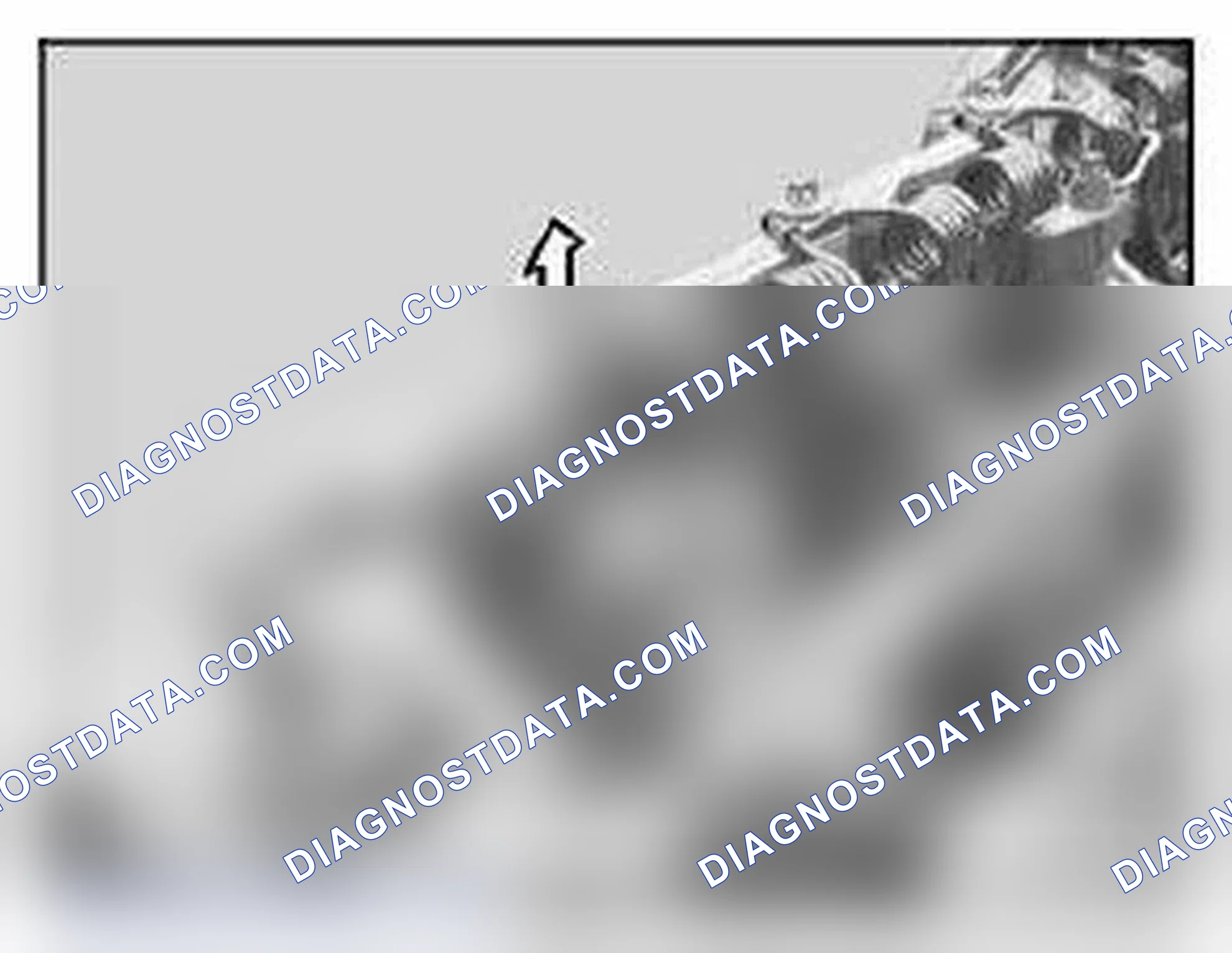 Scheme 339