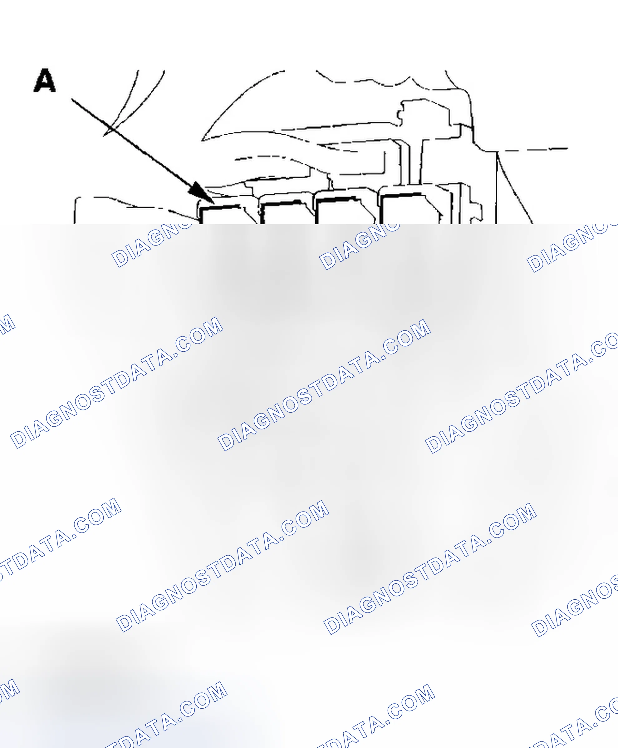 Scheme 519