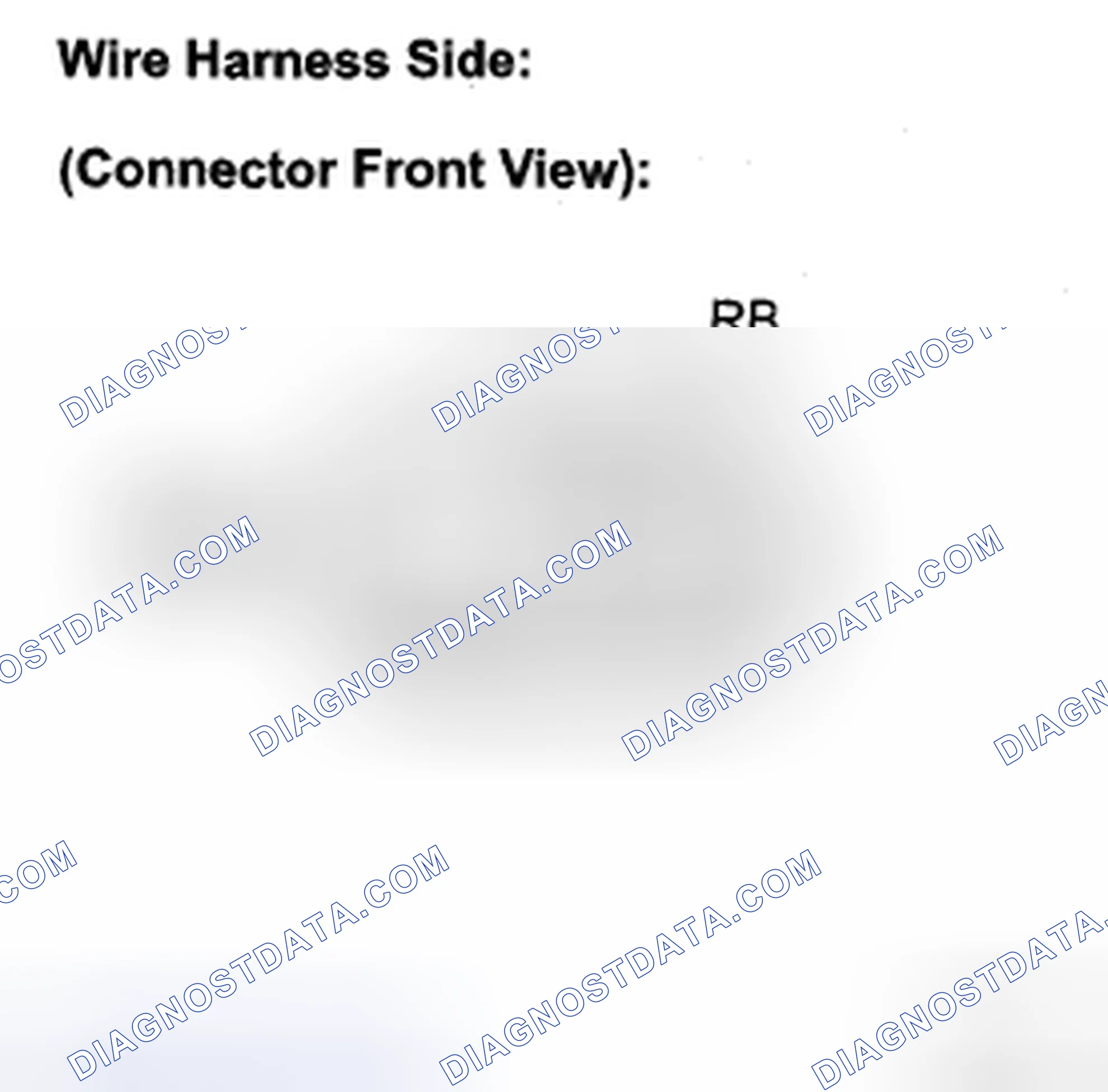 Scheme 37: INSPECTION PROCEDURE